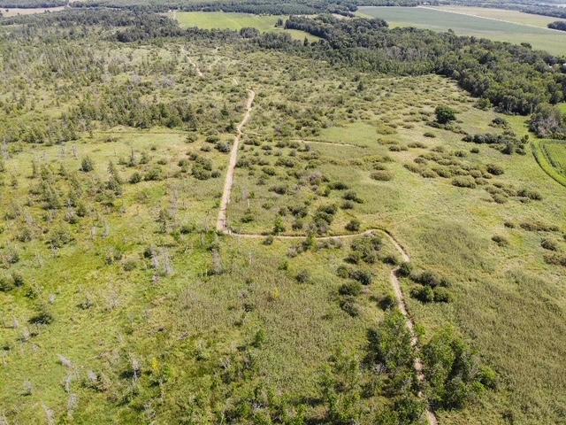 land for sale at TBD 580th Street in Deer Creek, MN (photo 25 of 31)