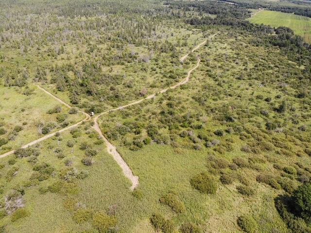land for sale at TBD 580th Street in Deer Creek, MN (photo 26 of 31)