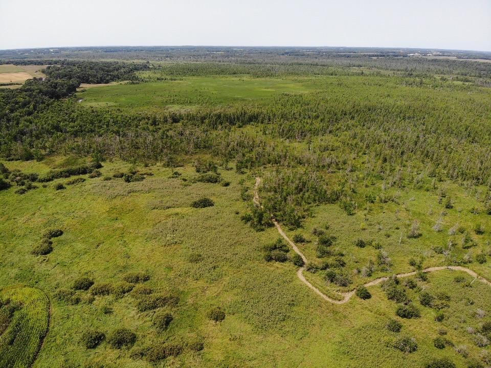 land for sale at TBD 580th Street in Deer Creek, MN (photo 28 of 31)