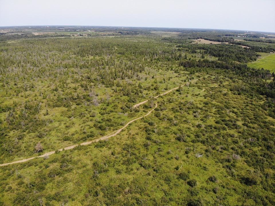 land for sale at TBD 580th Street in Deer Creek, MN (photo 29 of 31)