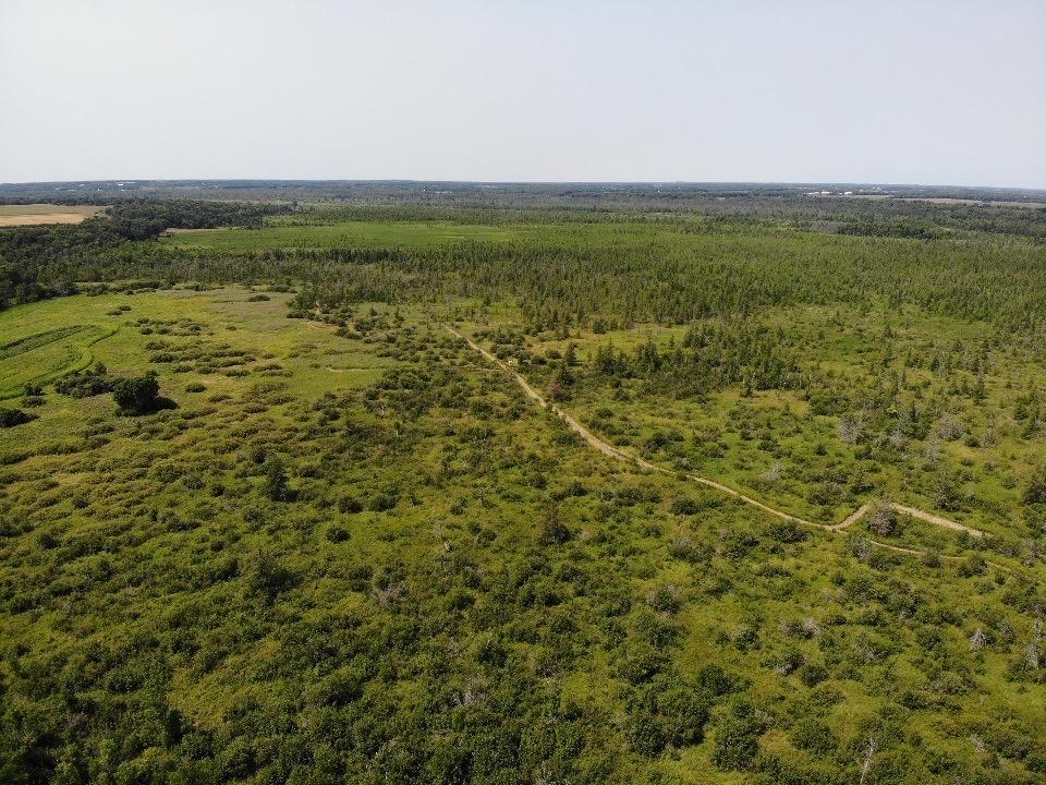 land for sale at TBD 580th Street in Deer Creek, MN (photo 30 of 31)
