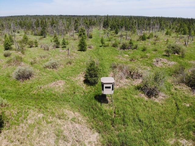 land for sale at TBD 580th Street in Deer Creek, MN (photo 5 of 31)