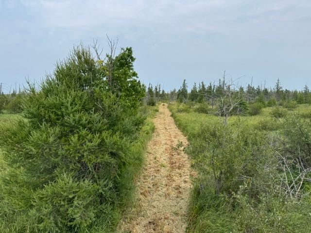 land for sale at TBD 580th Street in Deer Creek, MN (photo 7 of 31)