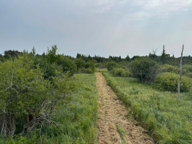 land for sale at TBD 580th Street in Deer Creek, MN (photo 8 of 31)