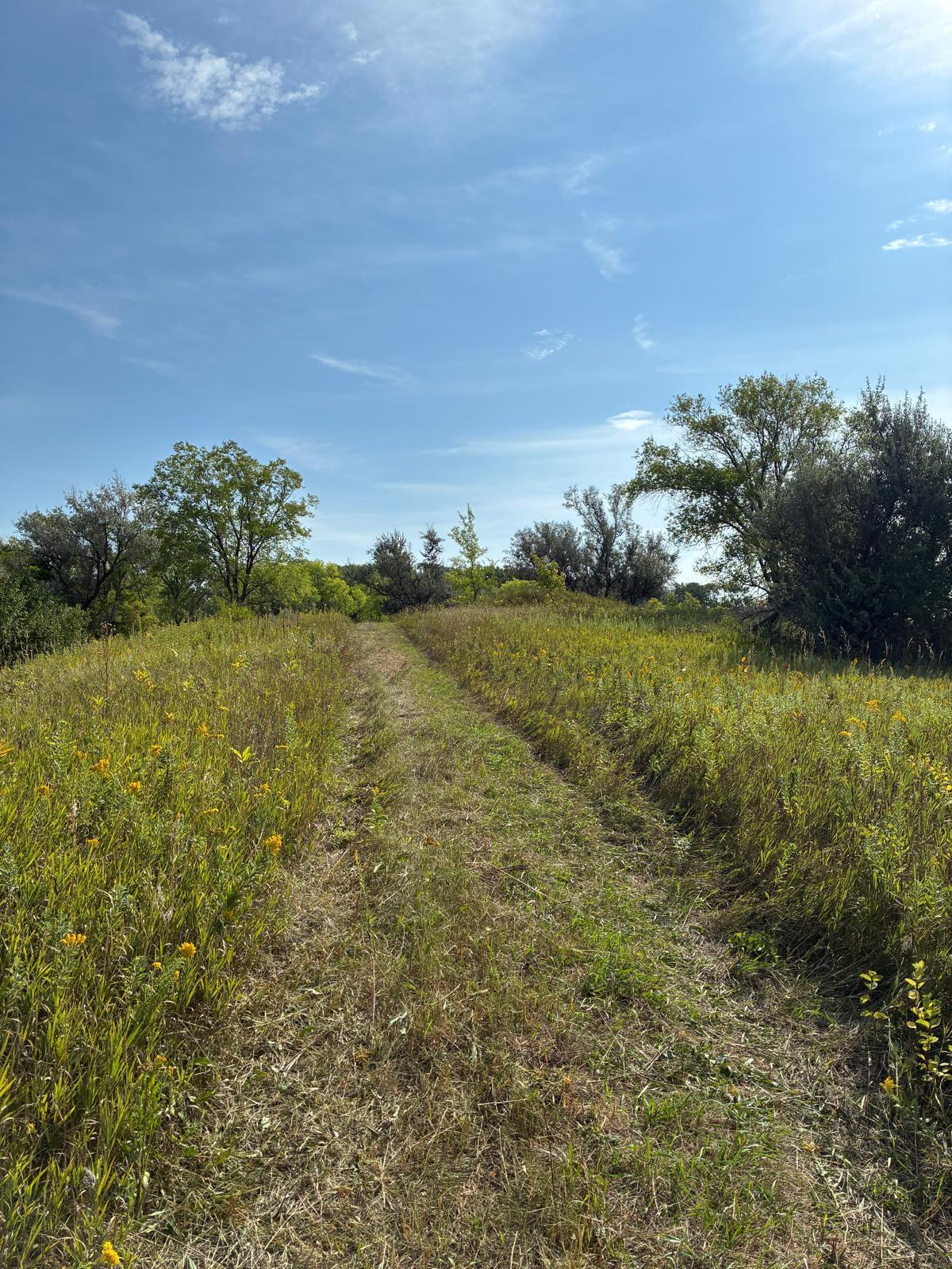 2023 single family home for sale at 9591 260th Street S in Hawley, MN — 3 bed, 2 bath (photo 51 of 52)