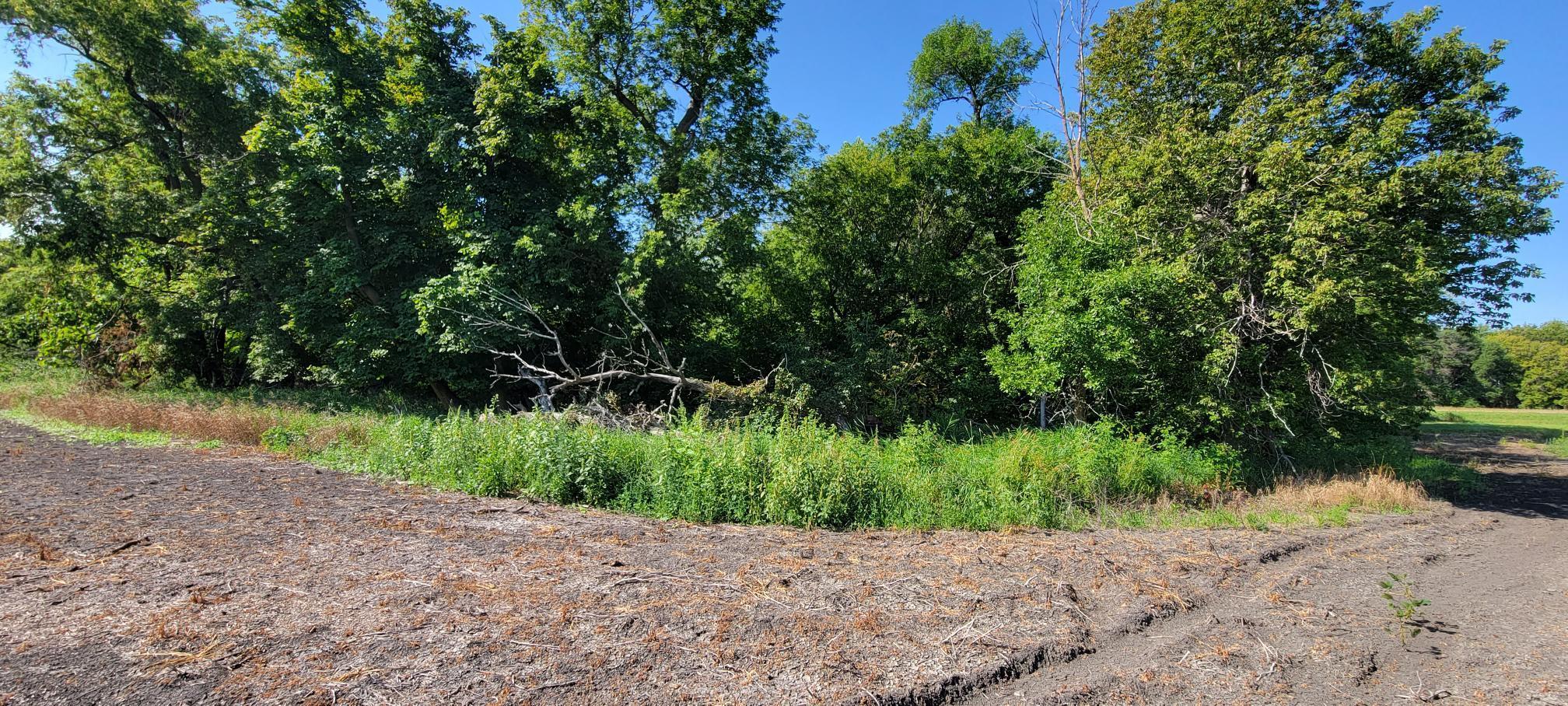 land for sale at 0 rural in Oslo, MN (photo 6 of 6)