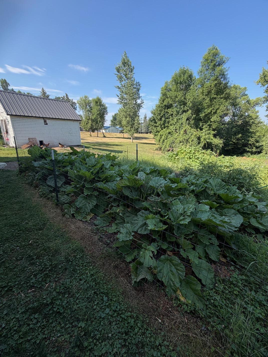 1980 single family home for sale at 38151 County Highway 35 in Dent, MN — 1 bed, 1 bath (photo 20 of 38)