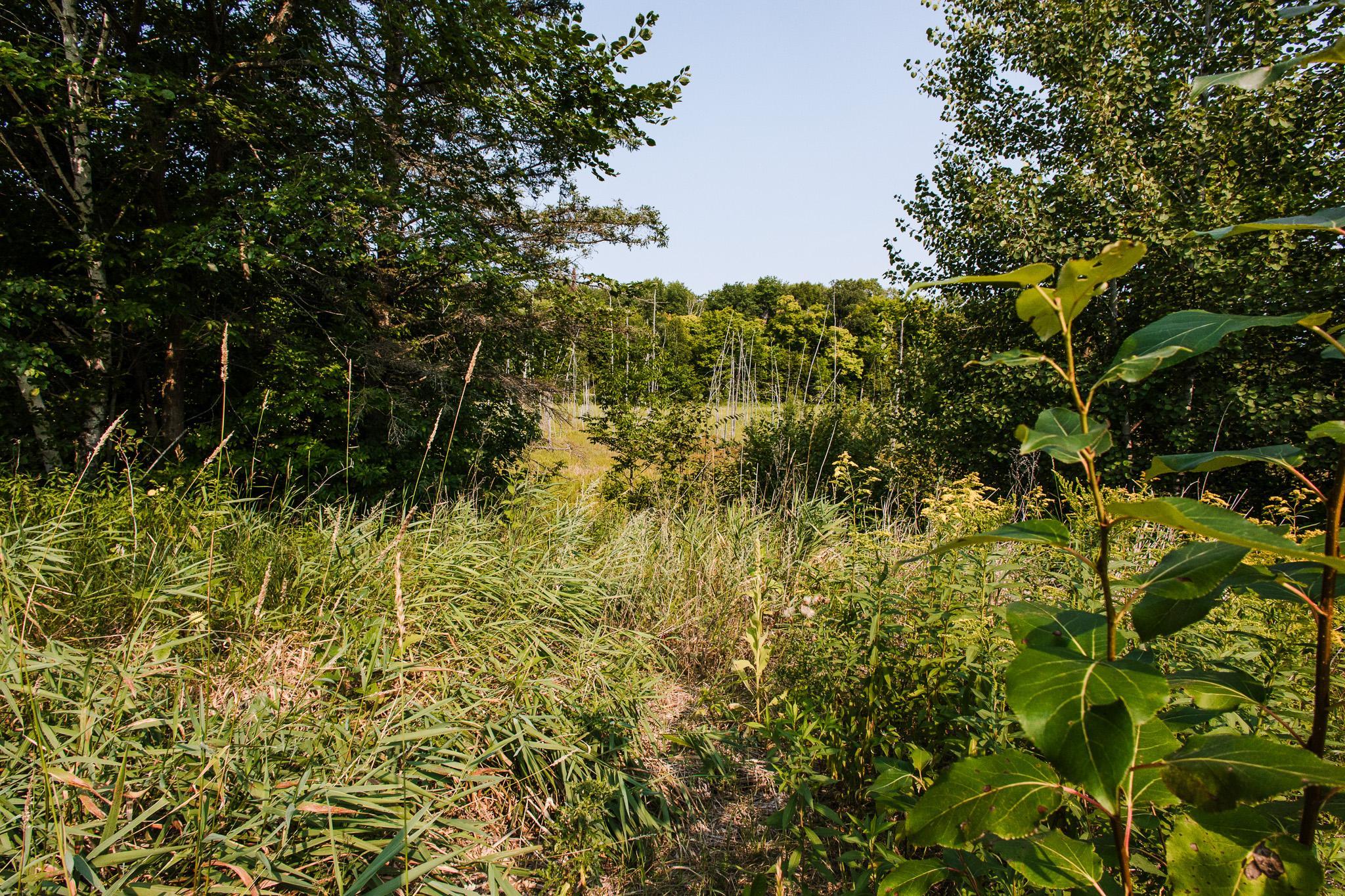 2019 single family home for sale at 32812 County Highway 26 in Rochert, MN — 2 bed, 2 bath (photo 50 of 58)