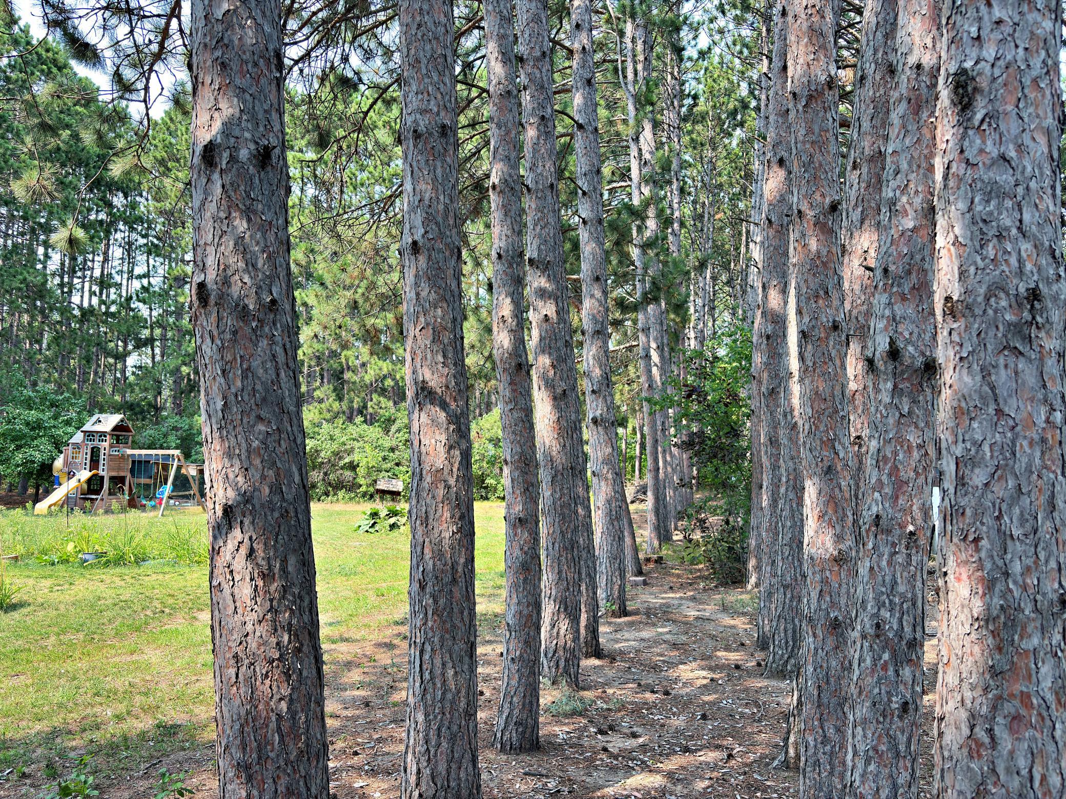 1974 single family home for sale at 16023 Discovery Circle in Park Rapids, MN — 3 bed, 2 bath (photo 29 of 33)