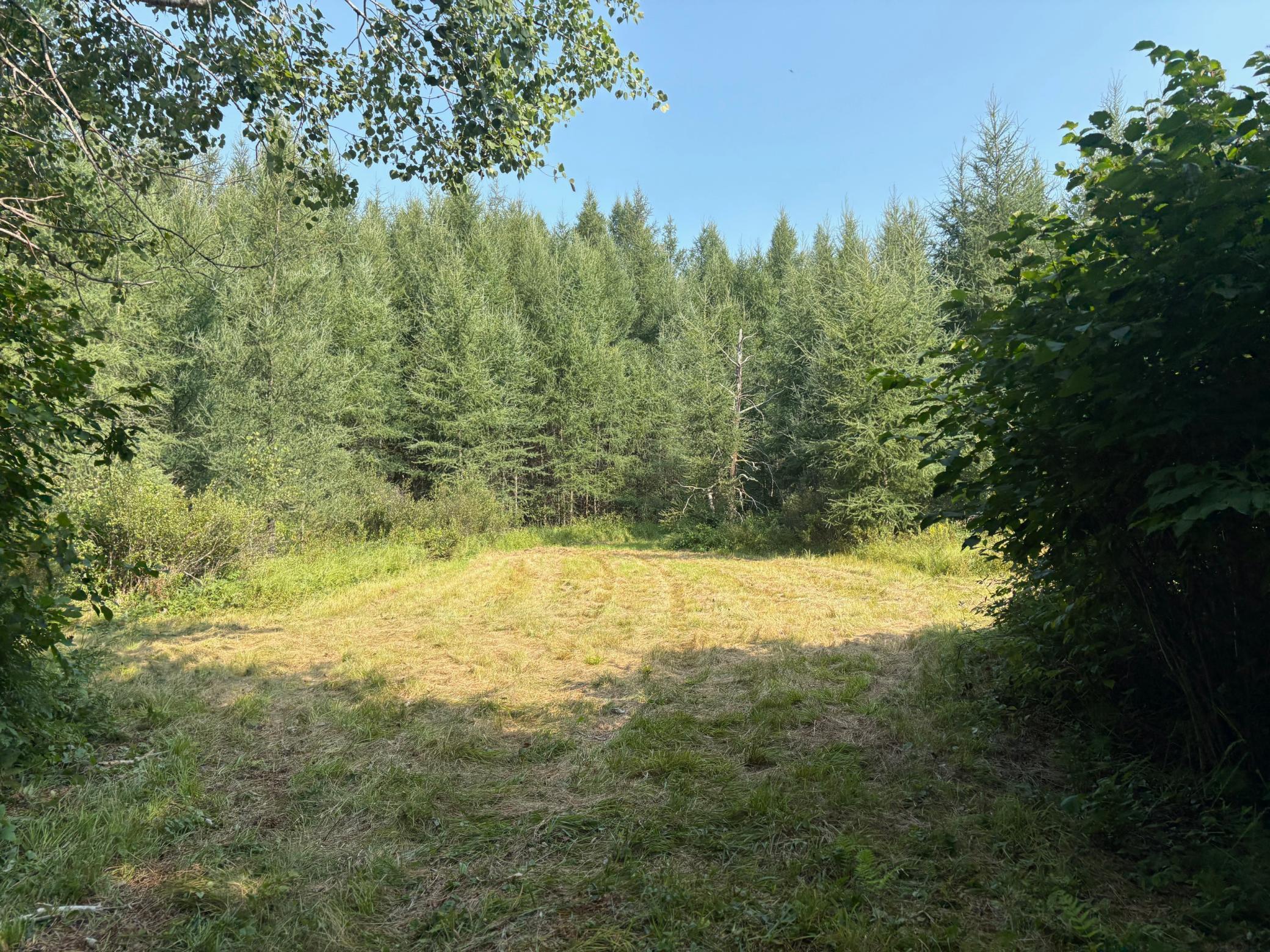 land for sale at 40243 650th Street in Swatara, MN (photo 11 of 13)