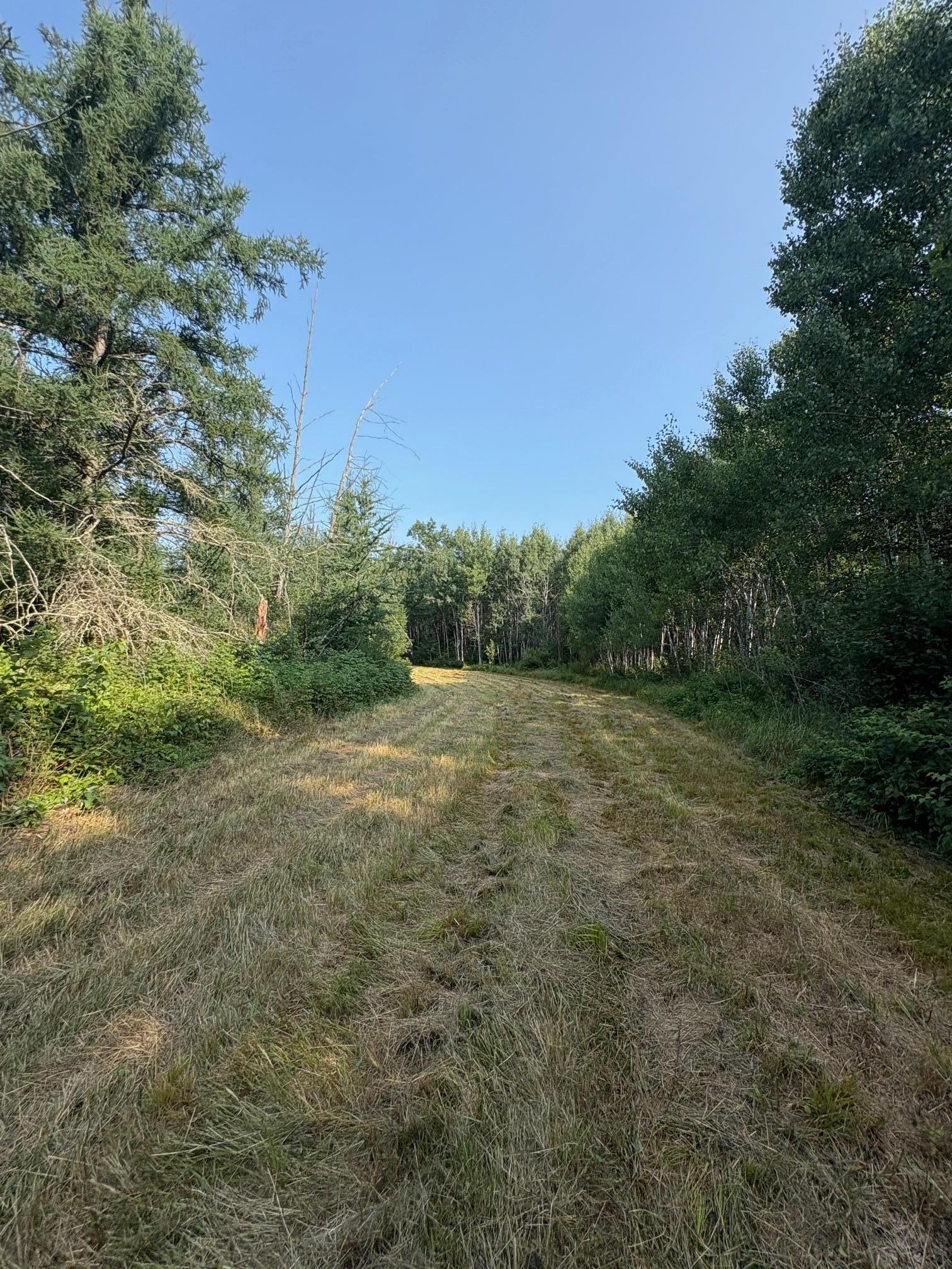 land for sale at 40243 650th Street in Swatara, MN (photo 12 of 13)