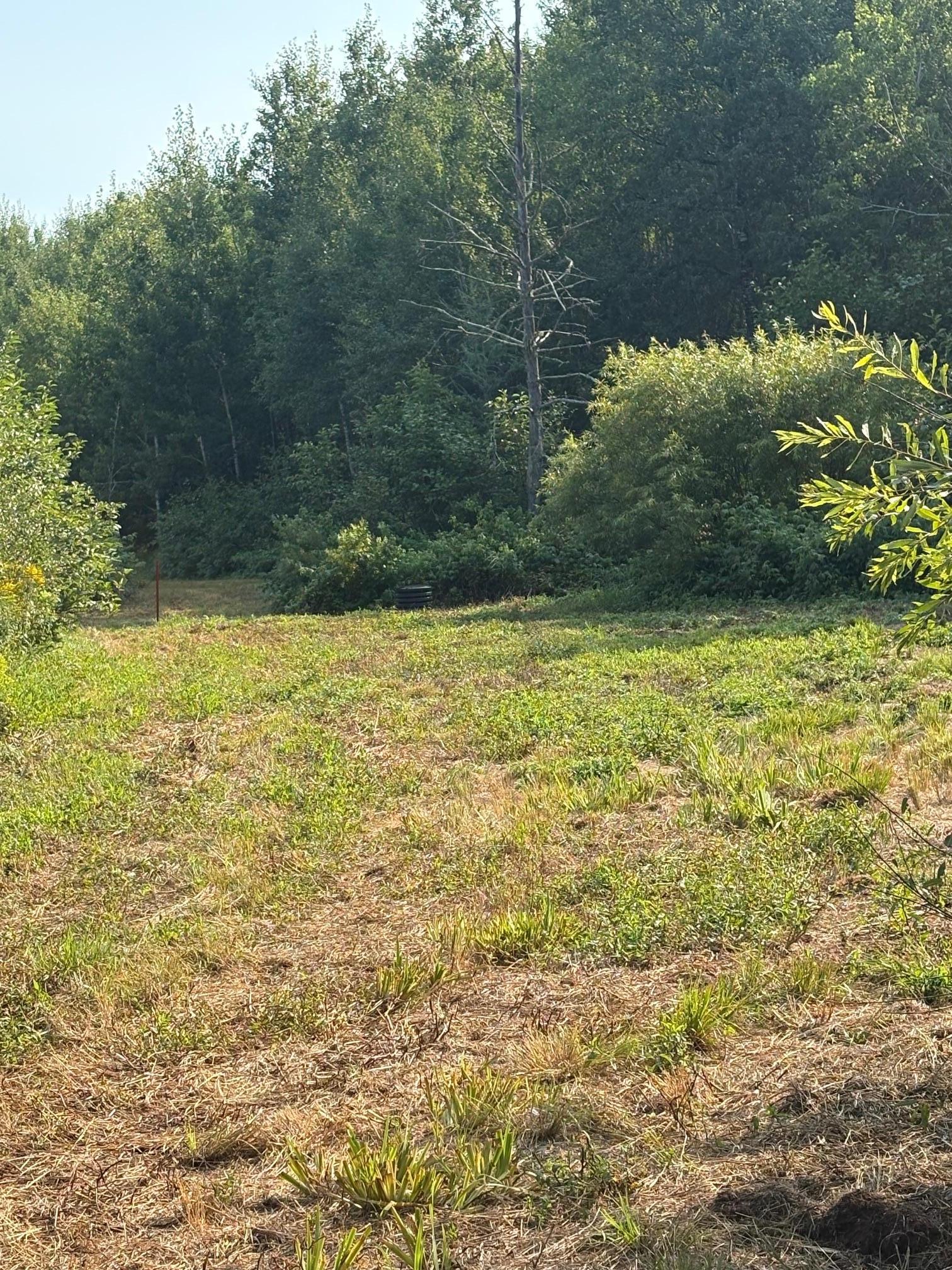 land for sale at 40243 650th Street in Swatara, MN (photo 3 of 13)