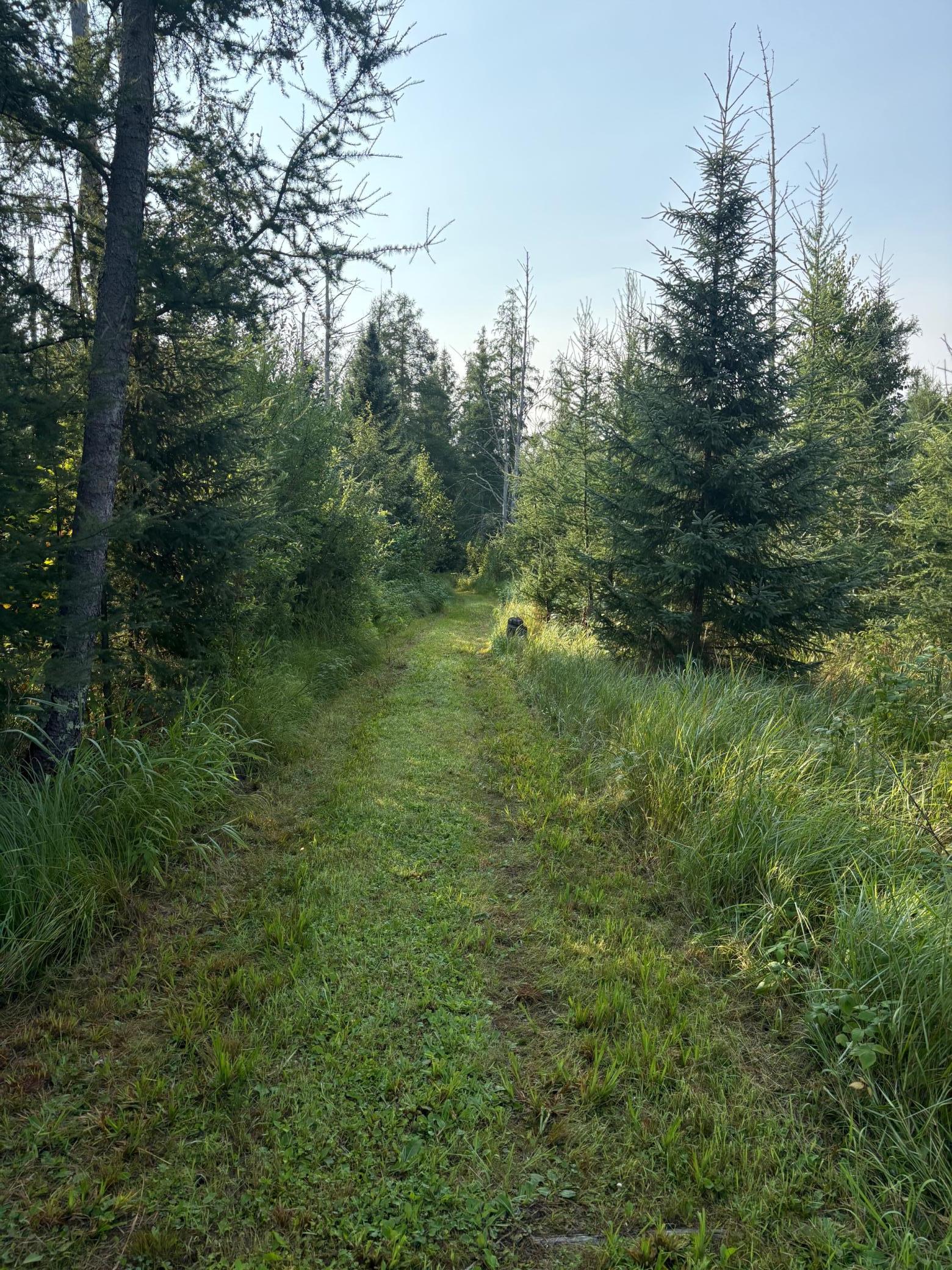 land for sale at 40243 650th Street in Swatara, MN (photo 4 of 13)