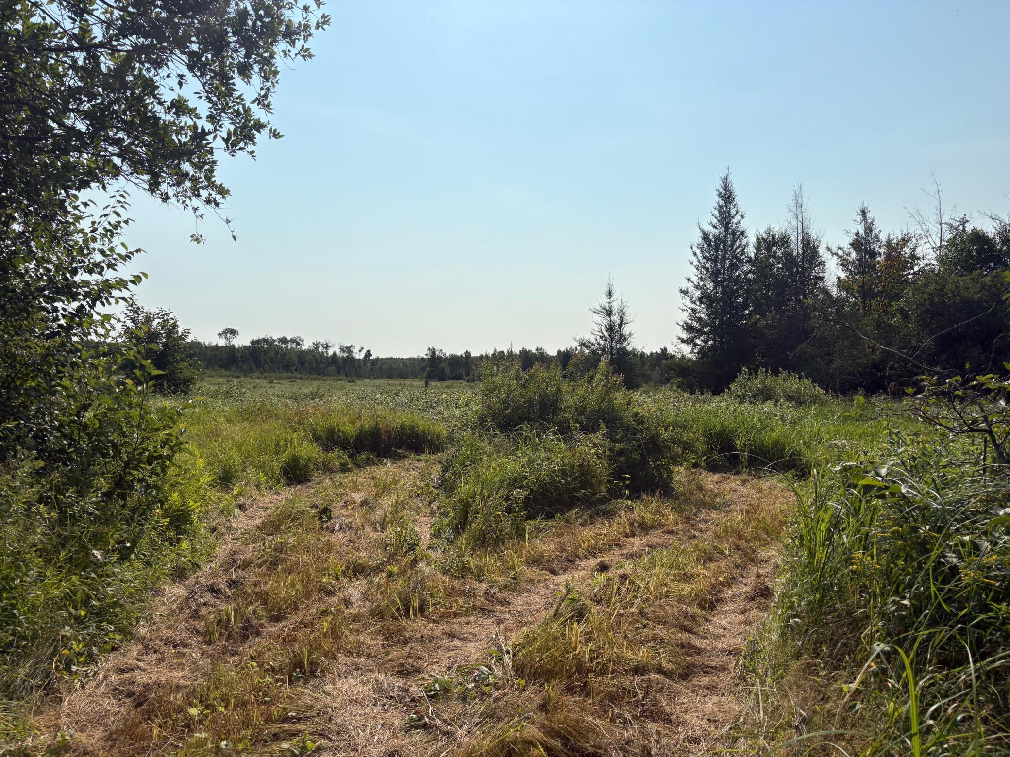 land for sale at 40243 650th Street in Swatara, MN (photo 10 of 13)
