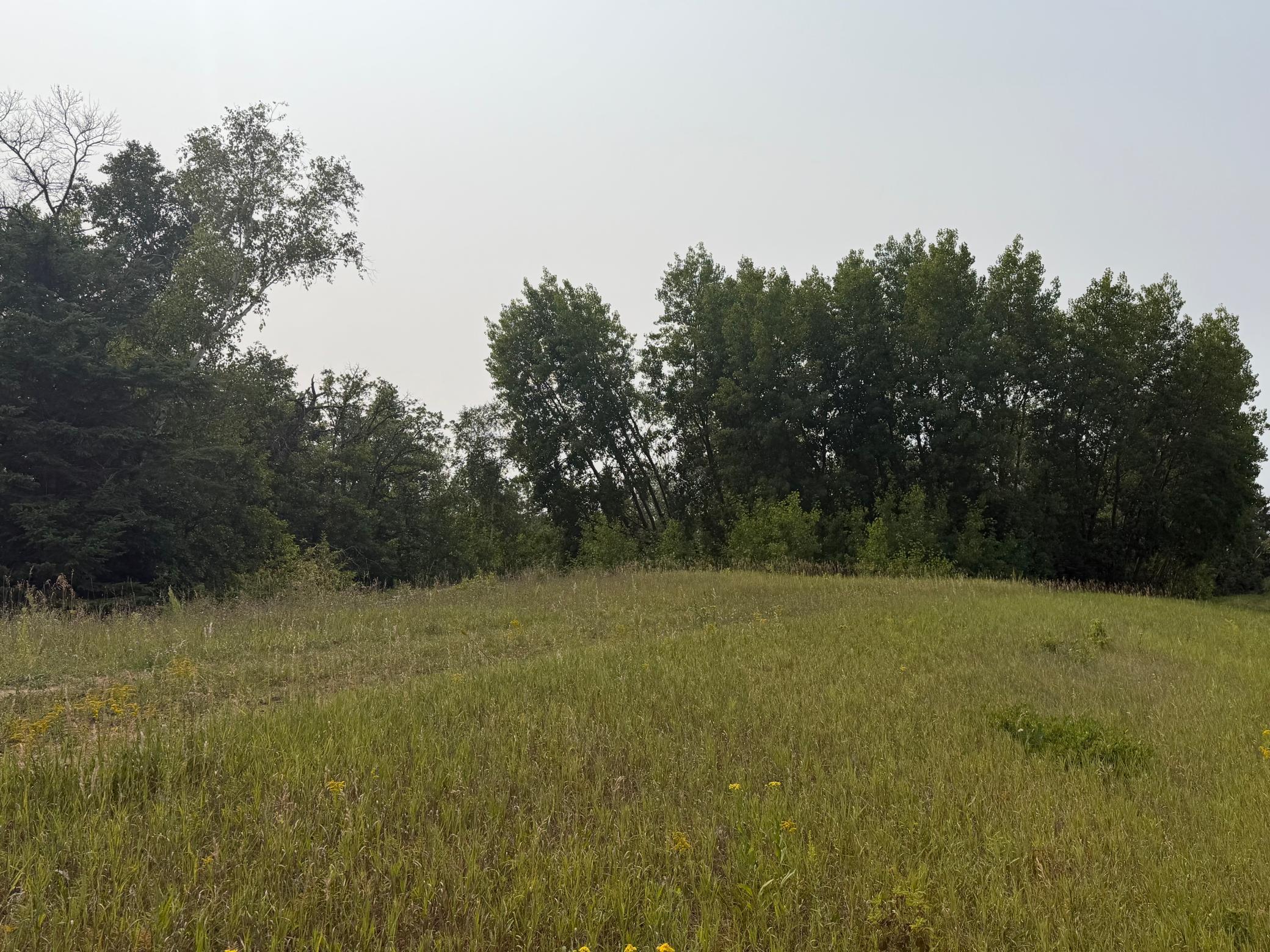 land for sale at TBD Del's Ct NE in Bemidji, MN (photo 2 of 3)