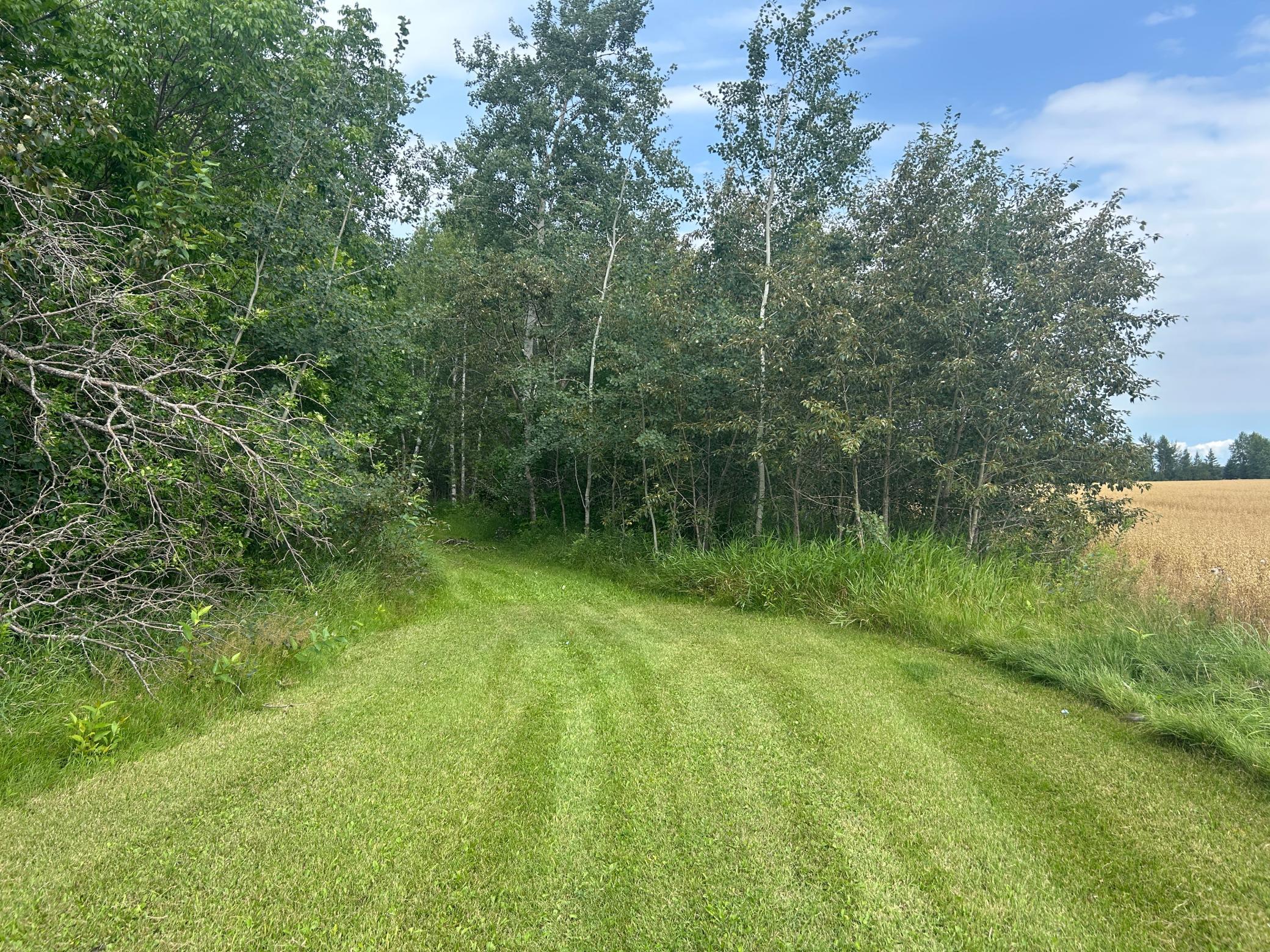 1912 single family home for sale at 10241 230th Avenue in Strathcona, MN — 2 bed, 1 bath (photo 7 of 31)