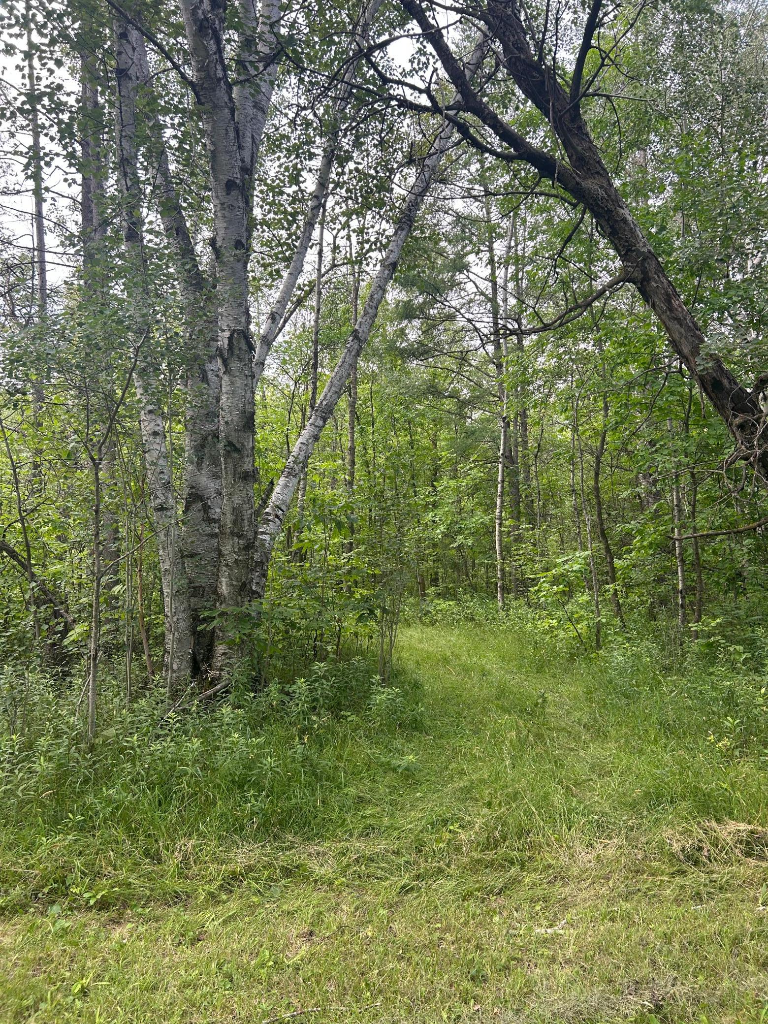 1912 single family home for sale at 10241 230th Avenue in Strathcona, MN — 2 bed, 1 bath (photo 8 of 31)