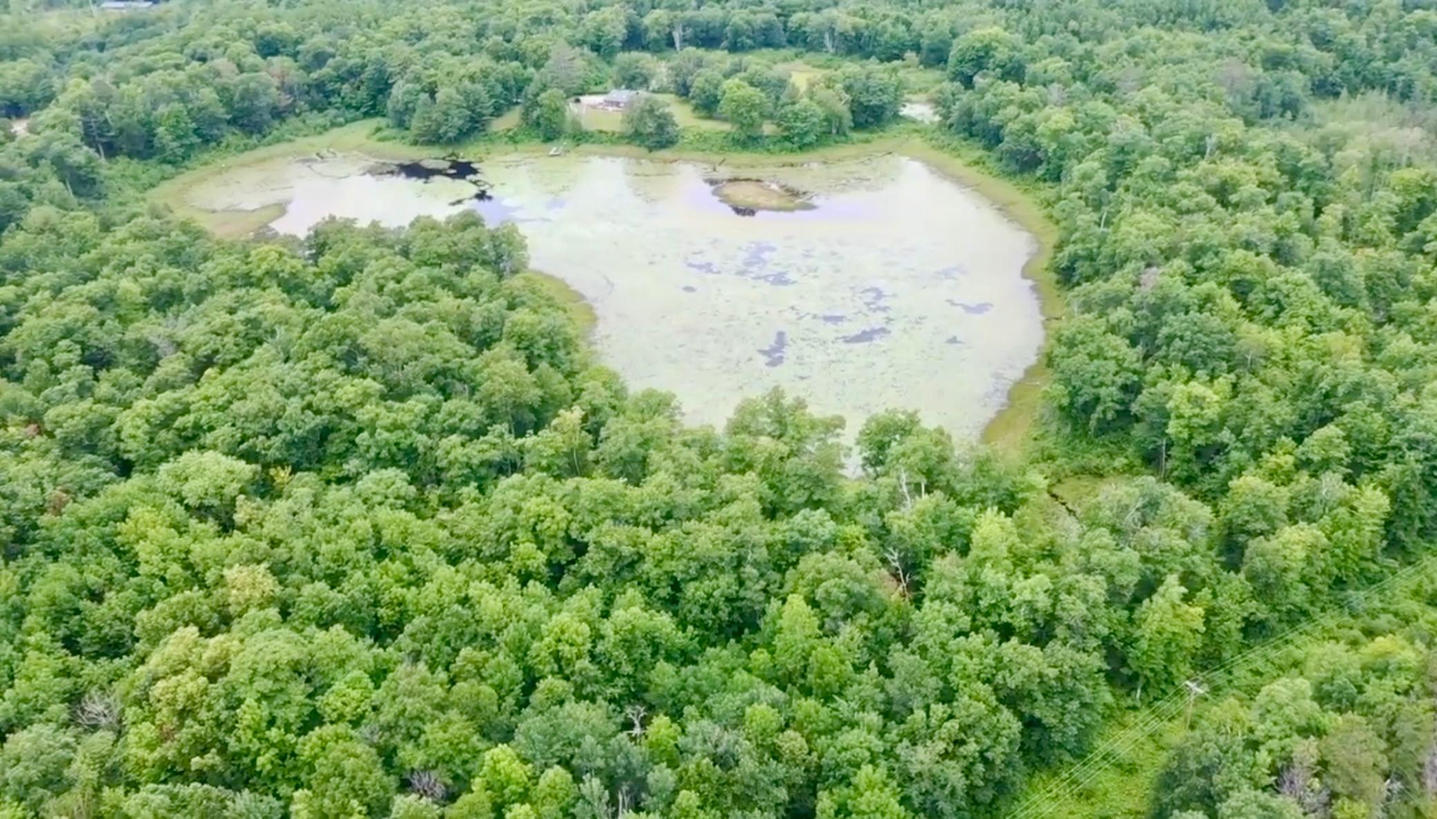 land for sale at xxxx State Highway 84 in Longville, MN (photo 2 of 17)