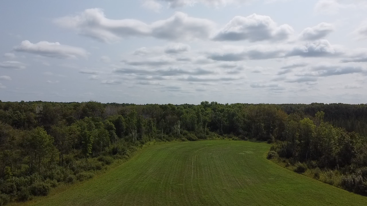 1919 single family home for sale at 38880 Kestrel Avenue in McGregor, MN — 3 bed, 2 bath (photo 3 of 33)