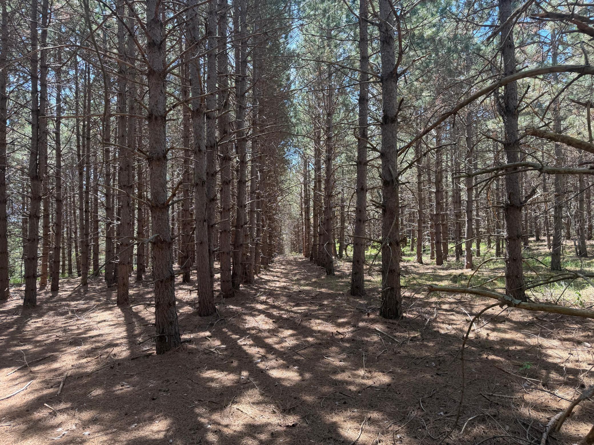 TBD- Parcel C Sleepy Hollow Road, Brainerd MN 56401 - Photo 2 of 8