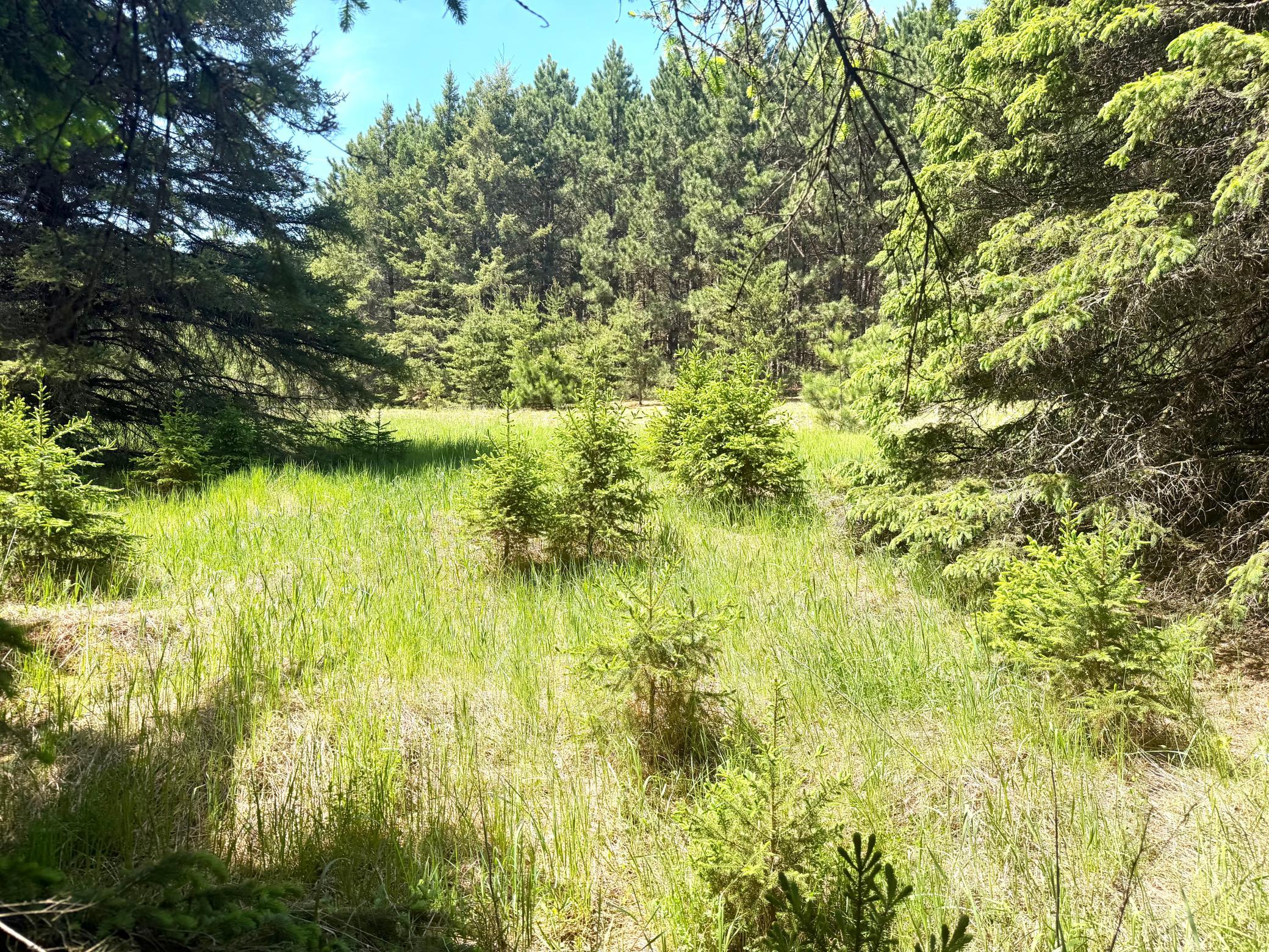 TBD- Parcel C Sleepy Hollow Road, Brainerd MN 56401 - Photo 3 of 8