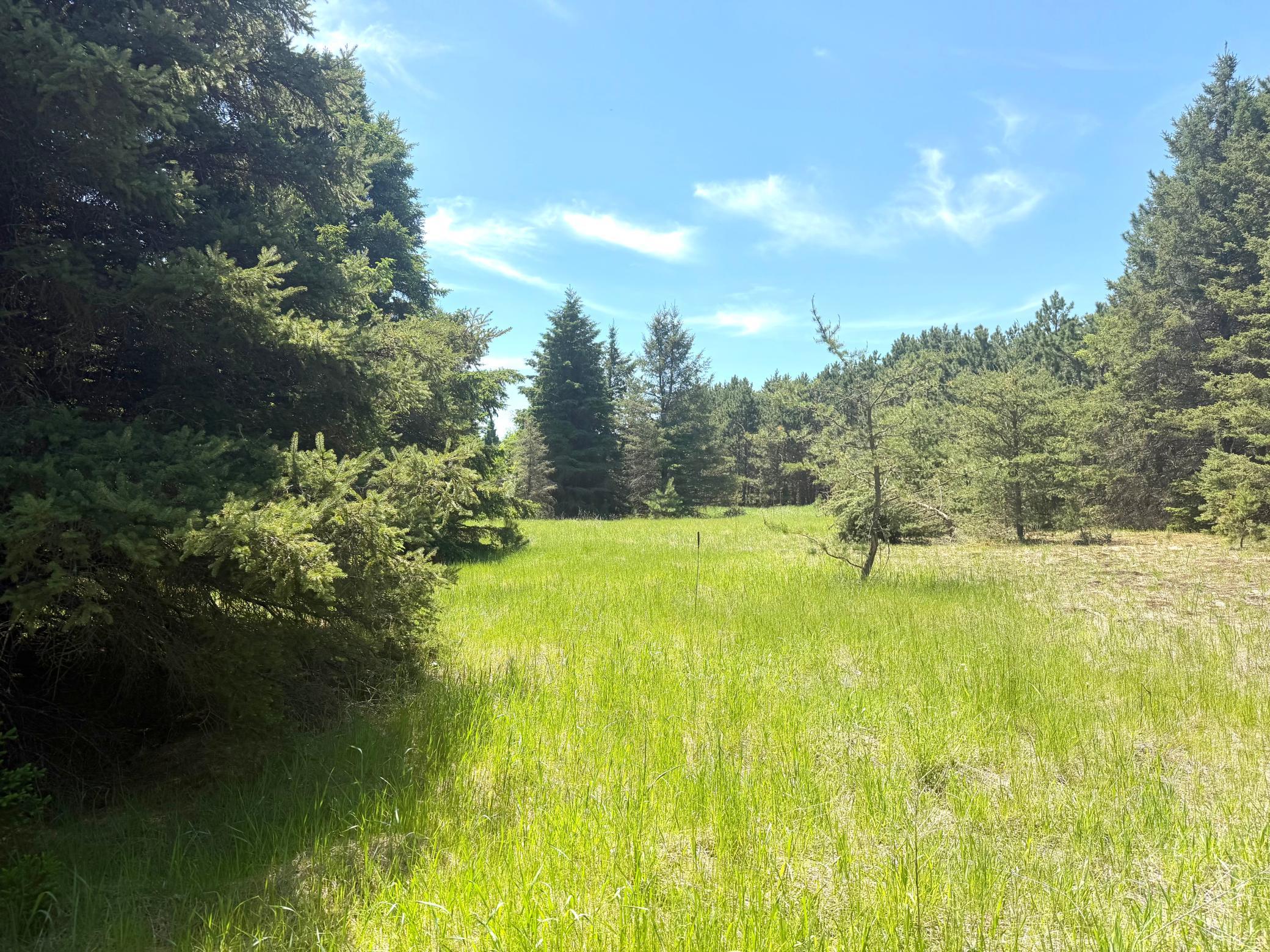 TBD- Parcel C Sleepy Hollow Road, Brainerd MN 56401 - Photo 4 of 8