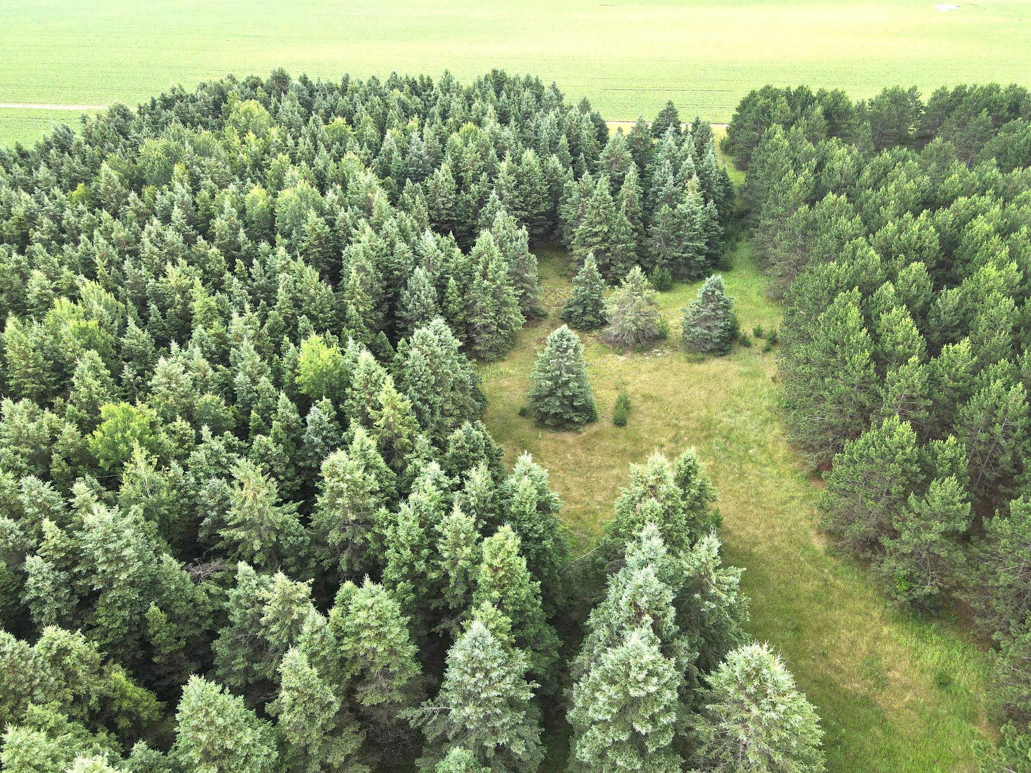 TBD- Parcel C Sleepy Hollow Road, Brainerd MN 56401 - Photo 8 of 8