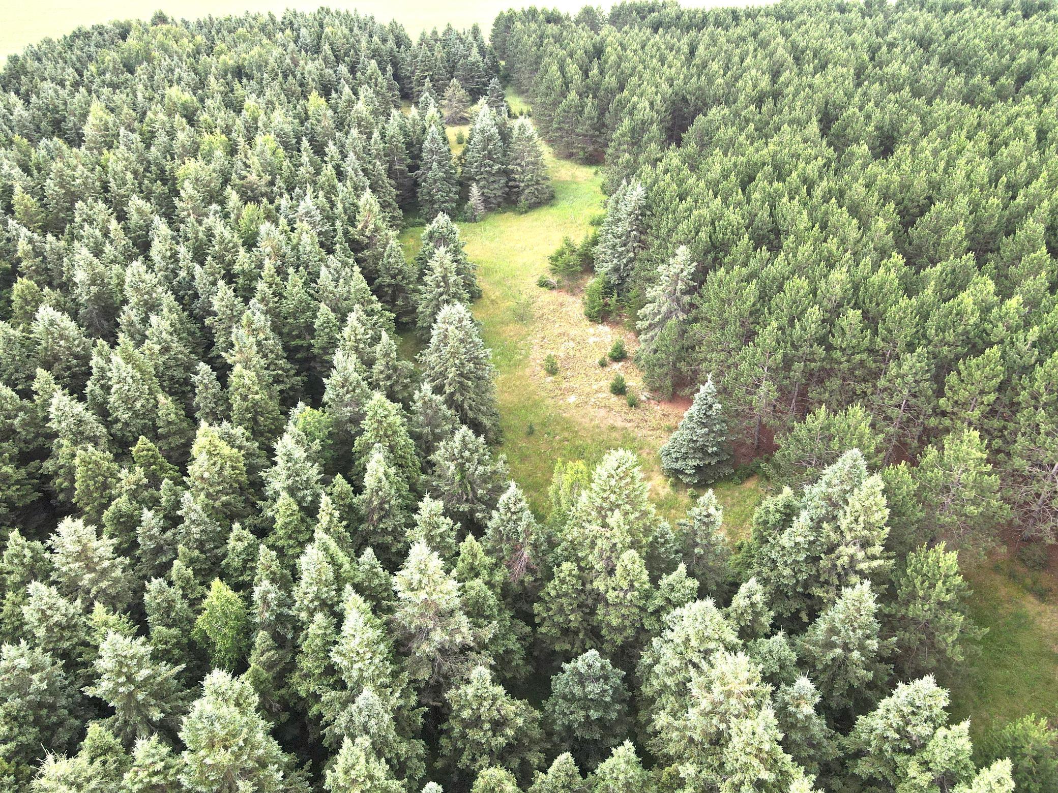 land for sale at TBD- Parcel C Sleepy Hollow Road in Brainerd, MN