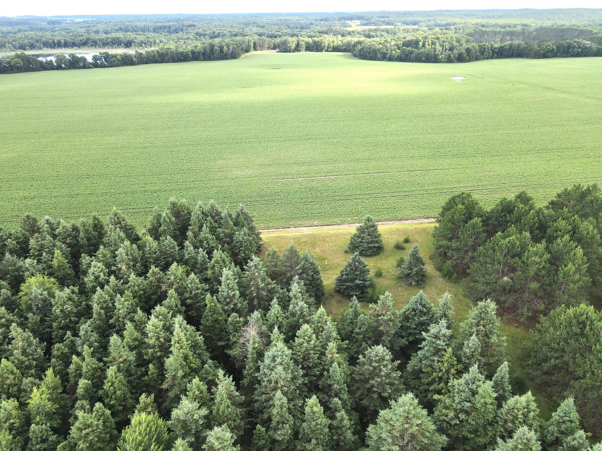 TBD- Parcel D Sleepy Hollow Road, Brainerd MN 56401 - Photo 2 of 12