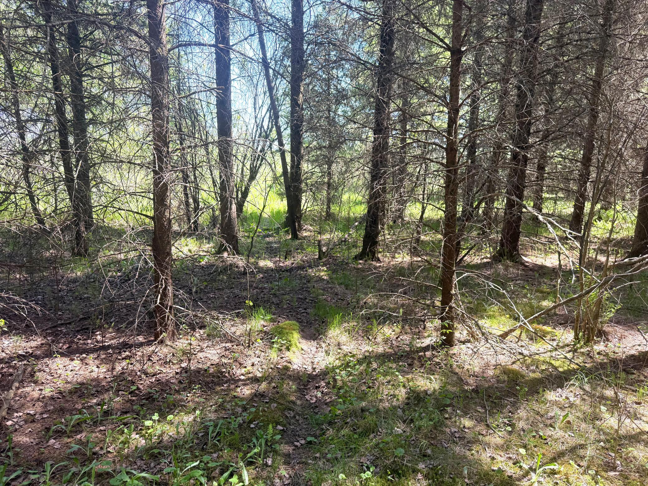 TBD- Parcel D Sleepy Hollow Road, Brainerd MN 56401 - Photo 6 of 12