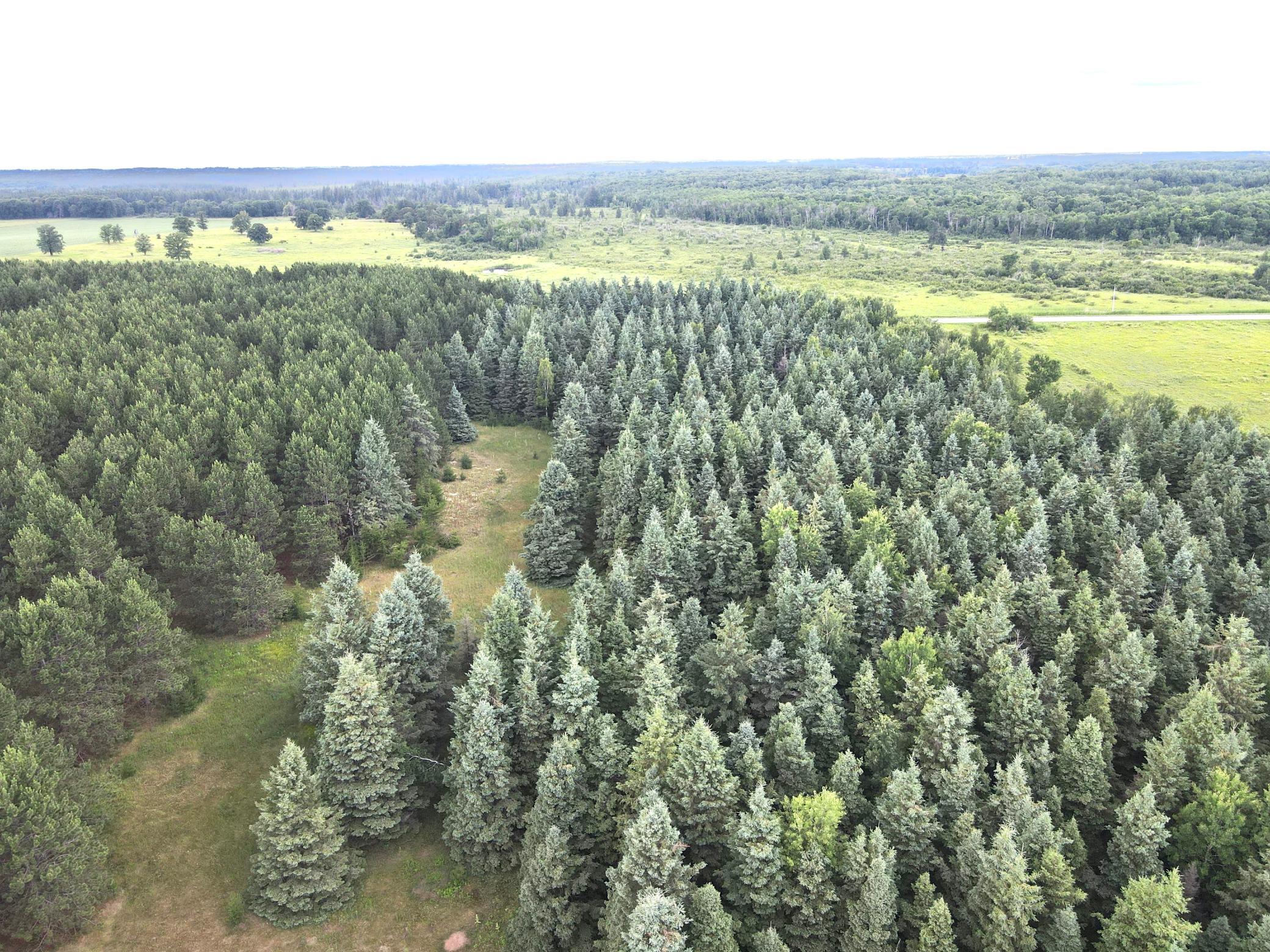 TBD- Parcel D Sleepy Hollow Road, Brainerd MN 56401 - Photo 7 of 12