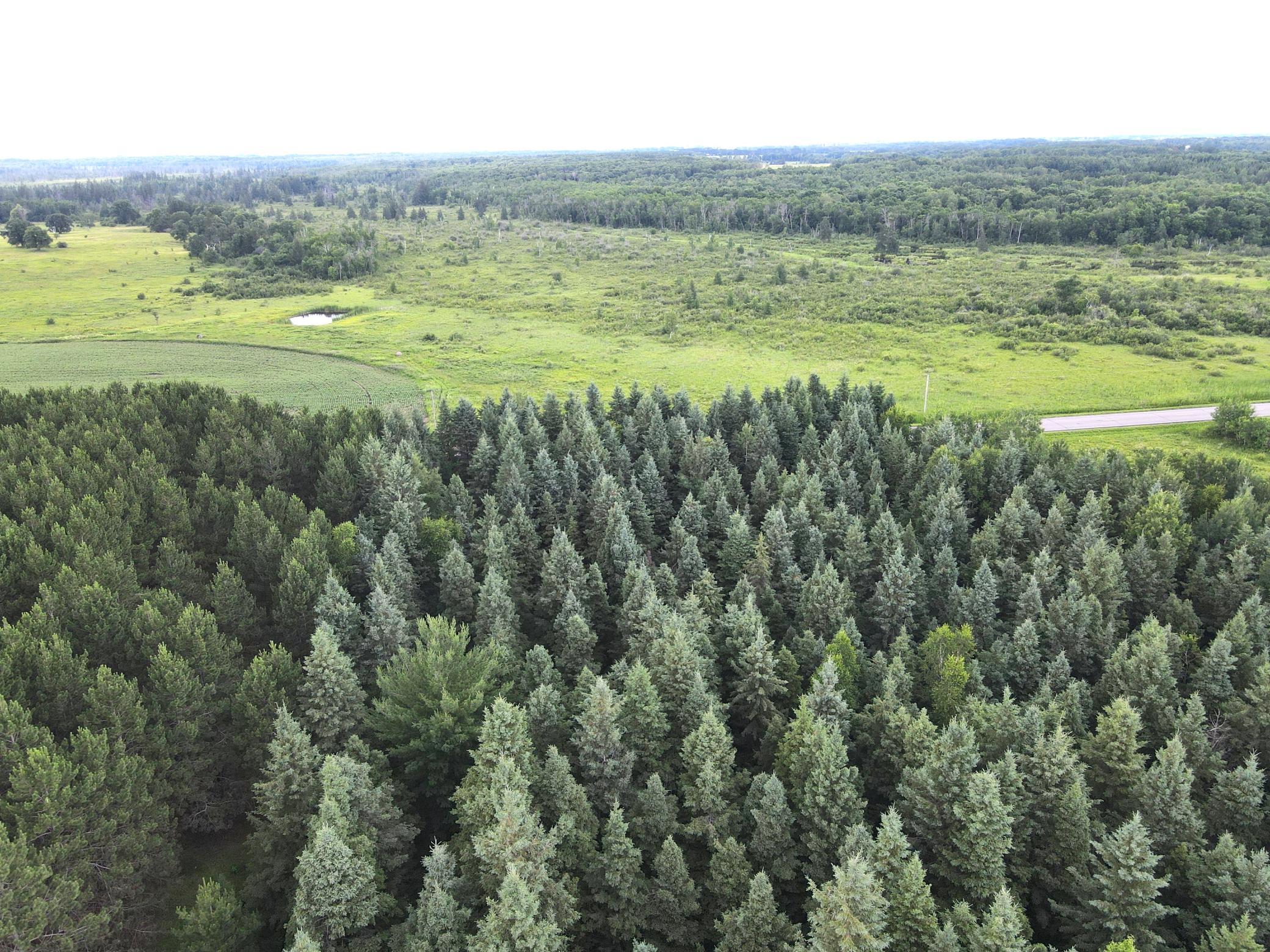 TBD- Parcel D Sleepy Hollow Road, Brainerd MN 56401 - Photo 8 of 12