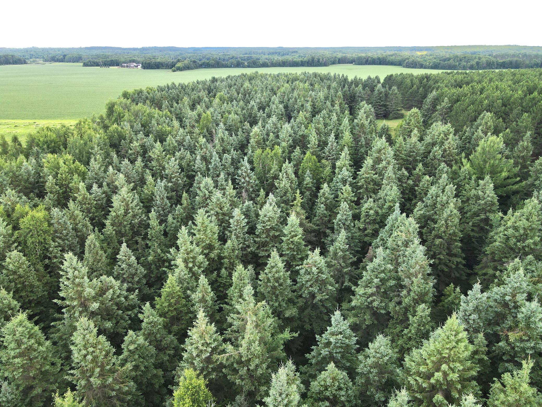 TBD- Parcel D Sleepy Hollow Road, Brainerd MN 56401 - Photo 10 of 12