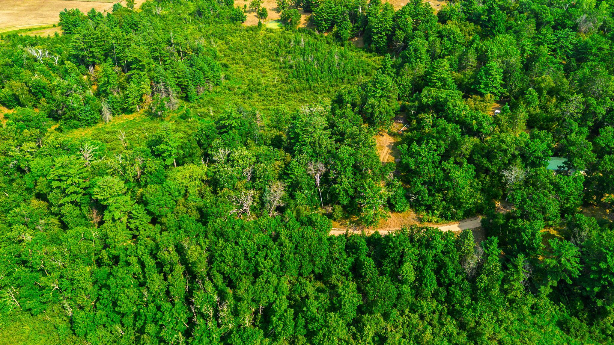 TBD County Road 23, Brainerd MN 56401 - Photo 11 of 74