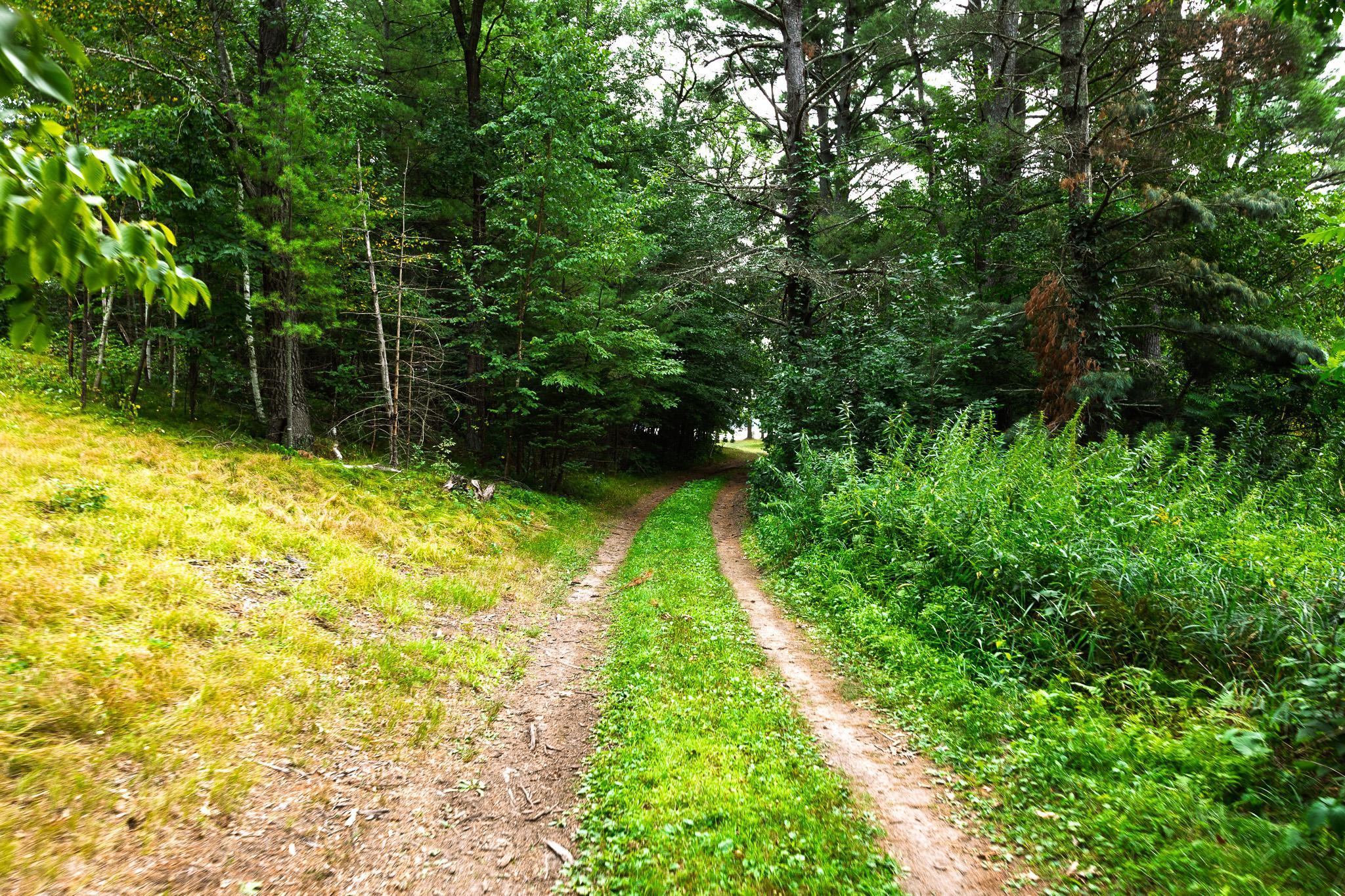 TBD County Road 23, Brainerd MN 56401 - Photo 25 of 74