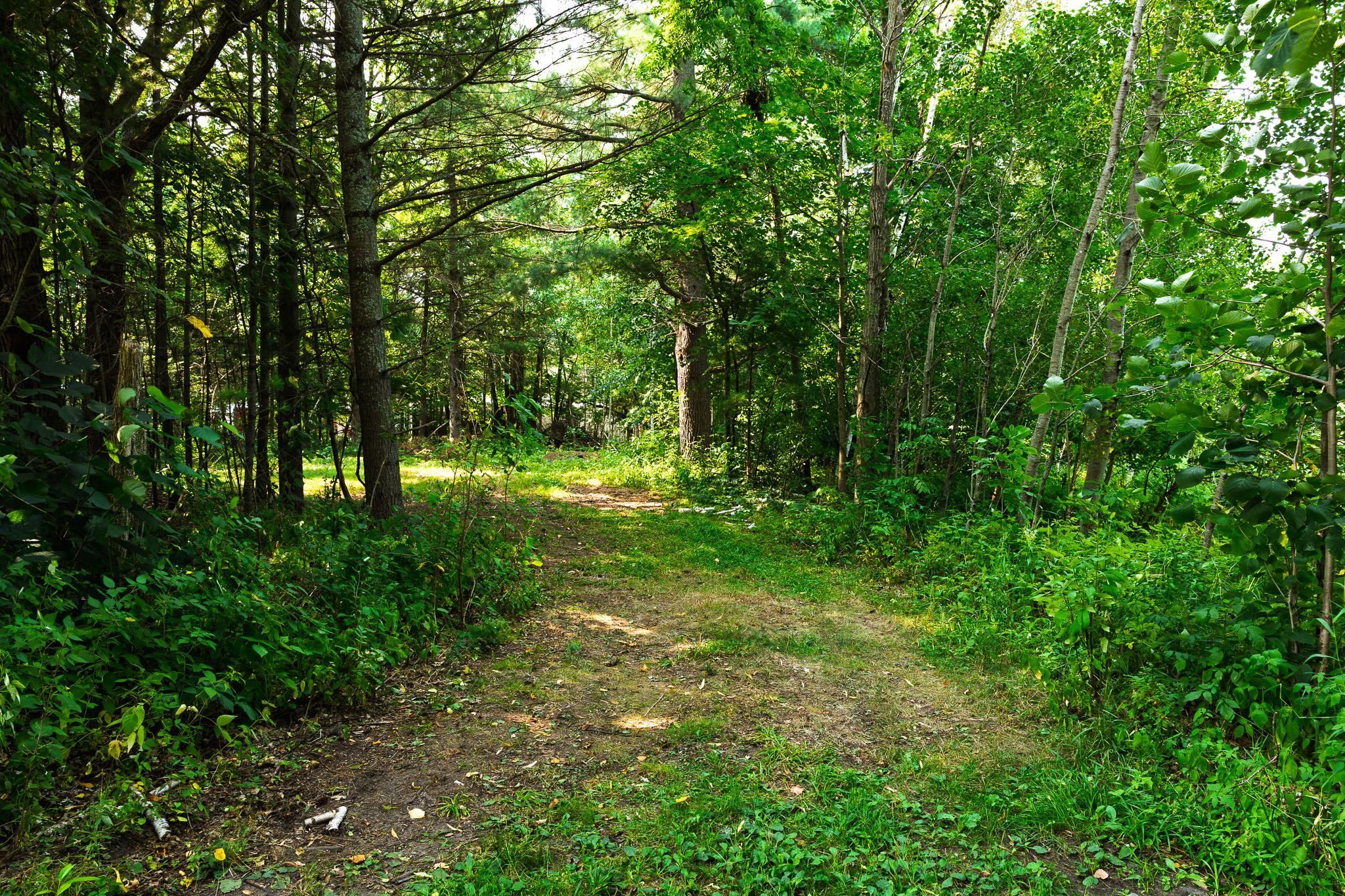 TBD County Road 23, Brainerd MN 56401 - Photo 36 of 74