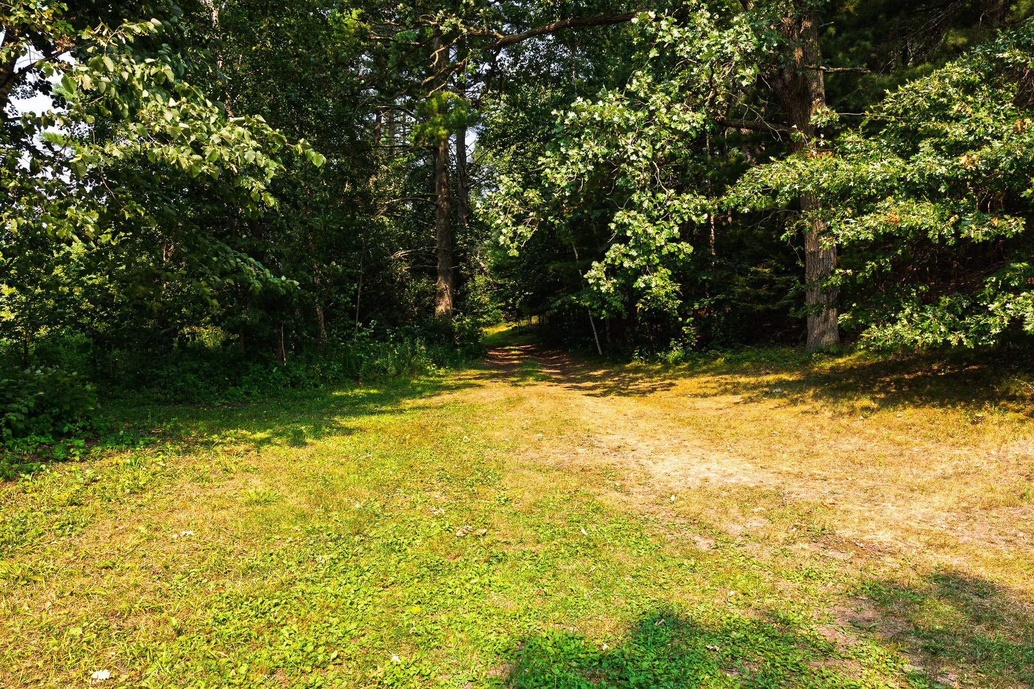 TBD County Road 23, Brainerd MN 56401 - Photo 39 of 74