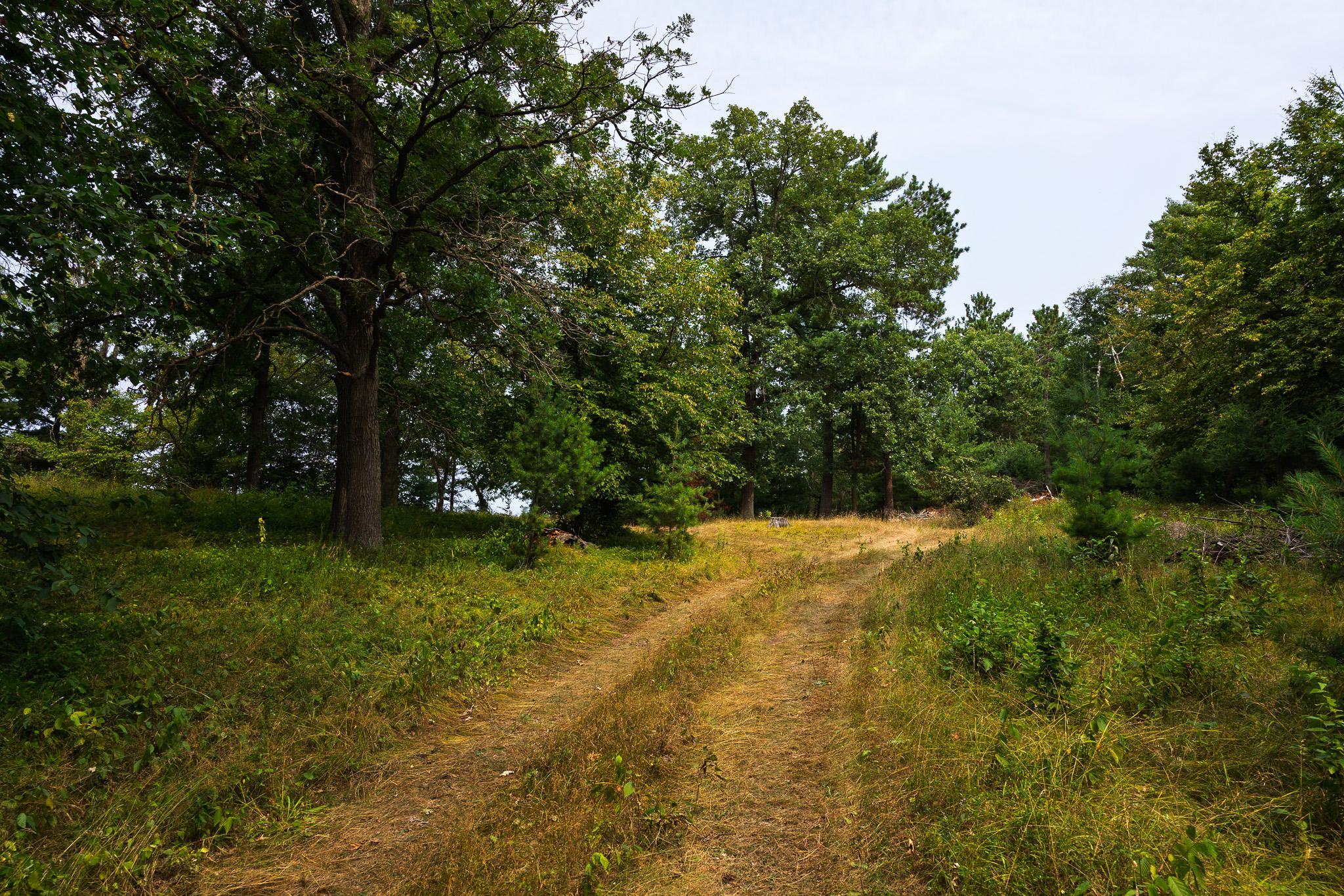 TBD County Road 23, Brainerd MN 56401 - Photo 43 of 74