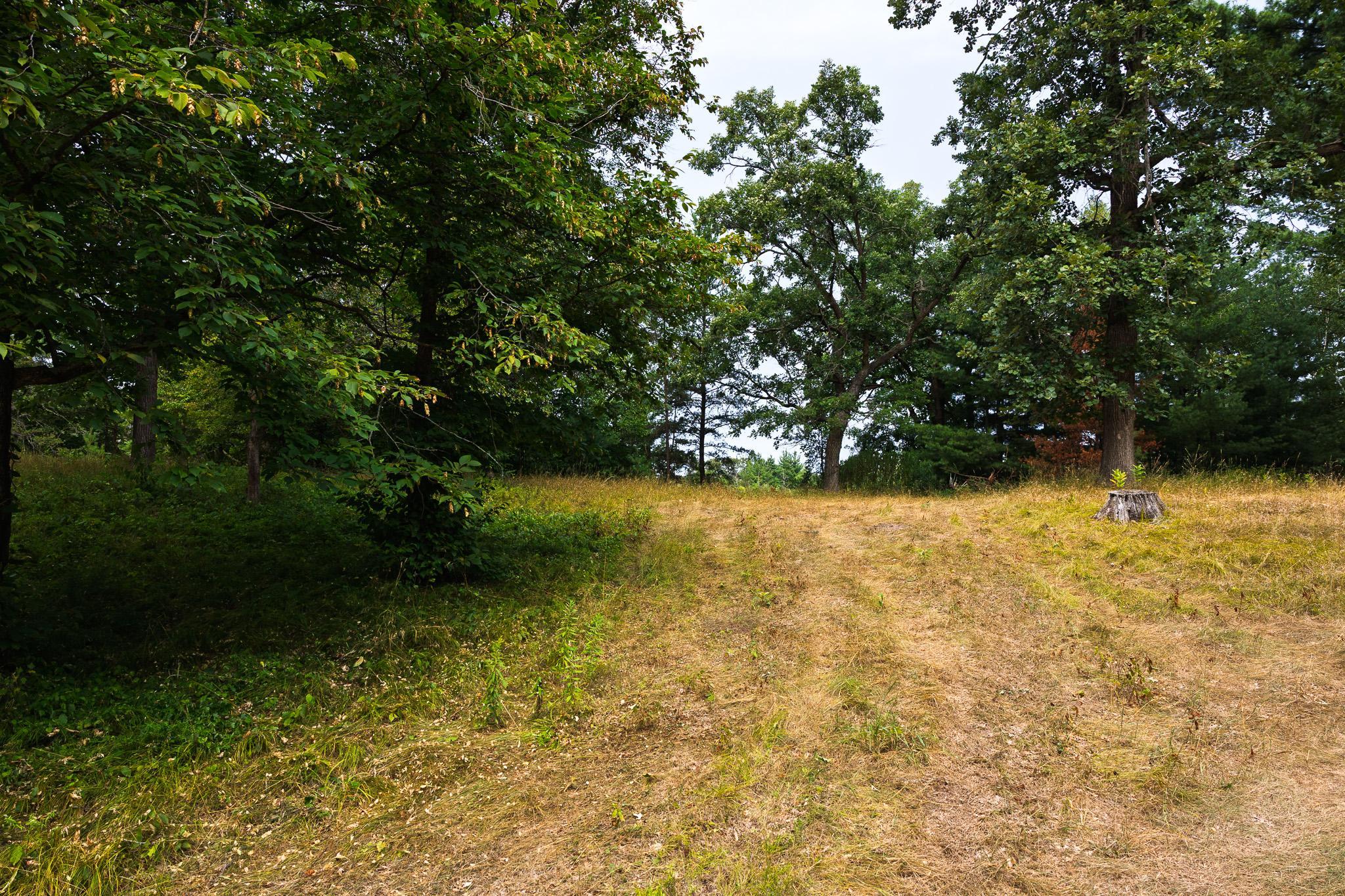 TBD County Road 23, Brainerd MN 56401 - Photo 45 of 74
