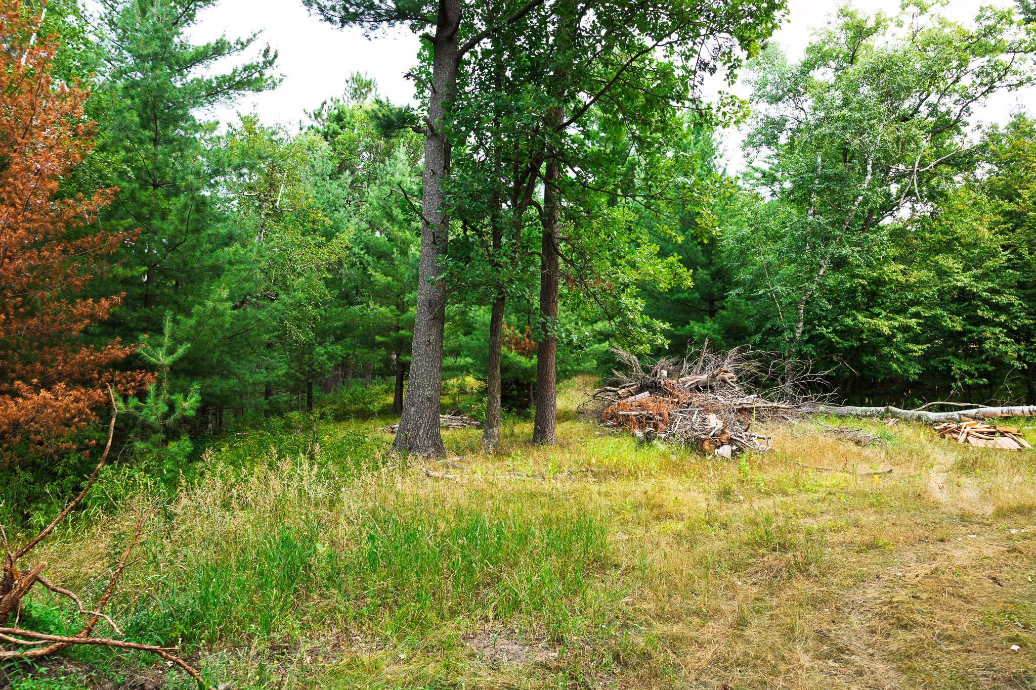 TBD County Road 23, Brainerd MN 56401 - Photo 46 of 74