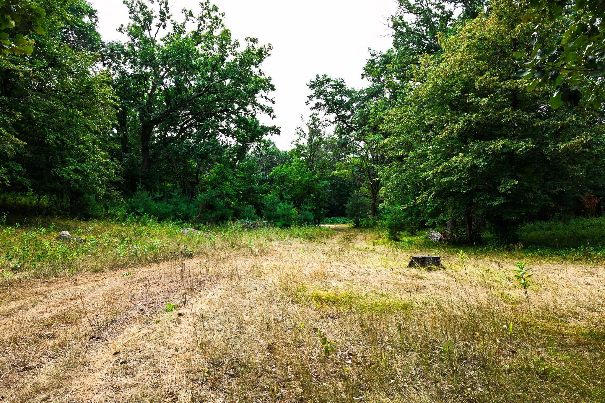 TBD County Road 23, Brainerd MN 56401 - Photo 49 of 74