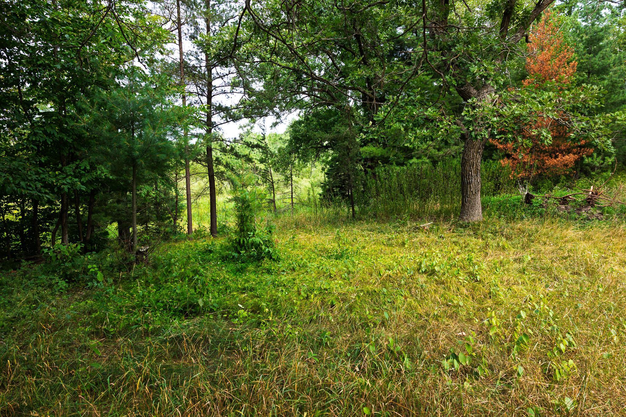 TBD County Road 23, Brainerd MN 56401 - Photo 53 of 74