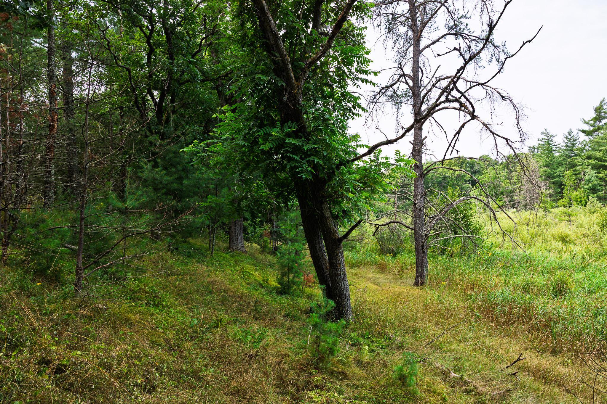 TBD County Road 23, Brainerd MN 56401 - Photo 56 of 74