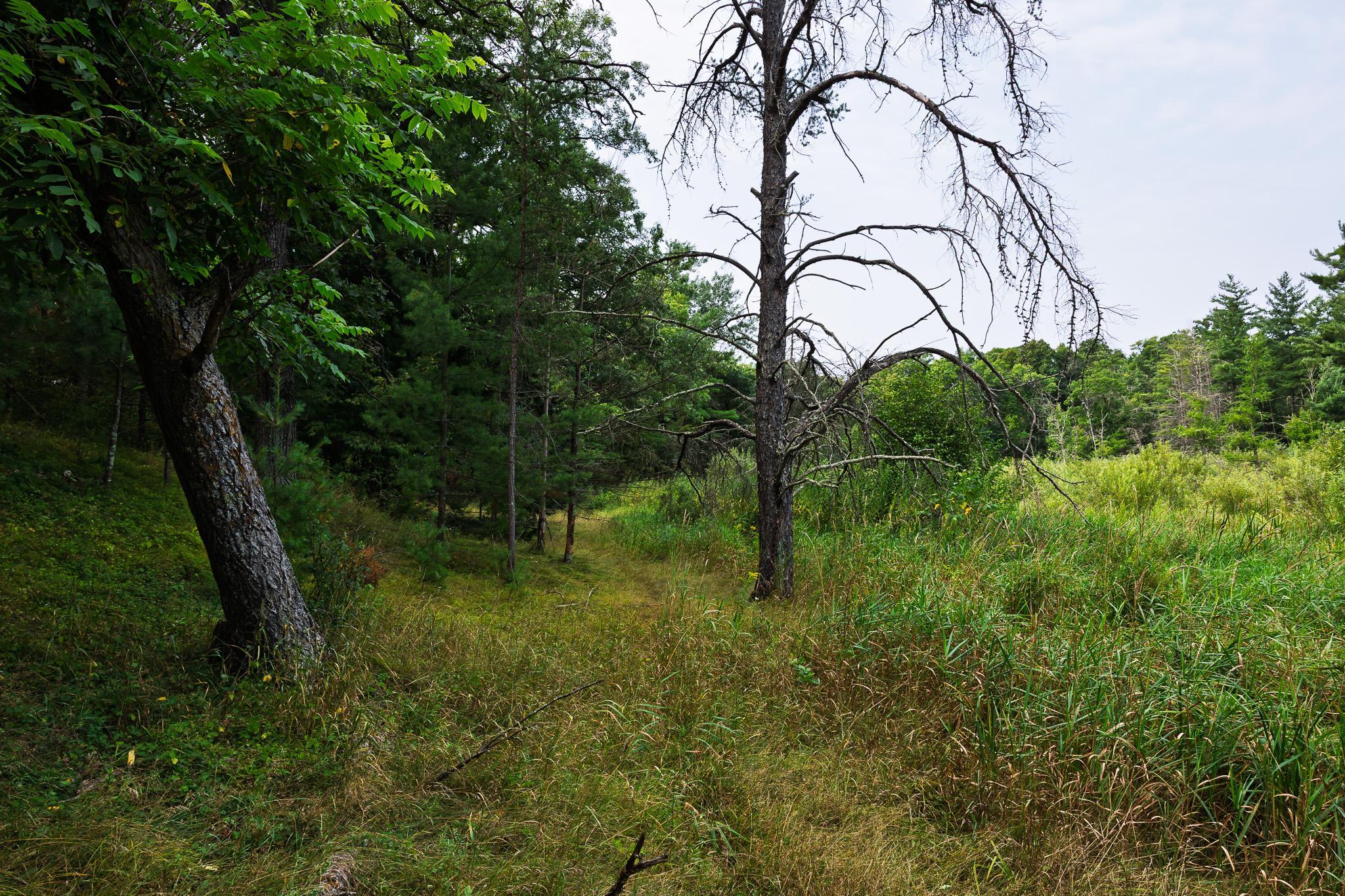 TBD County Road 23, Brainerd MN 56401 - Photo 57 of 74