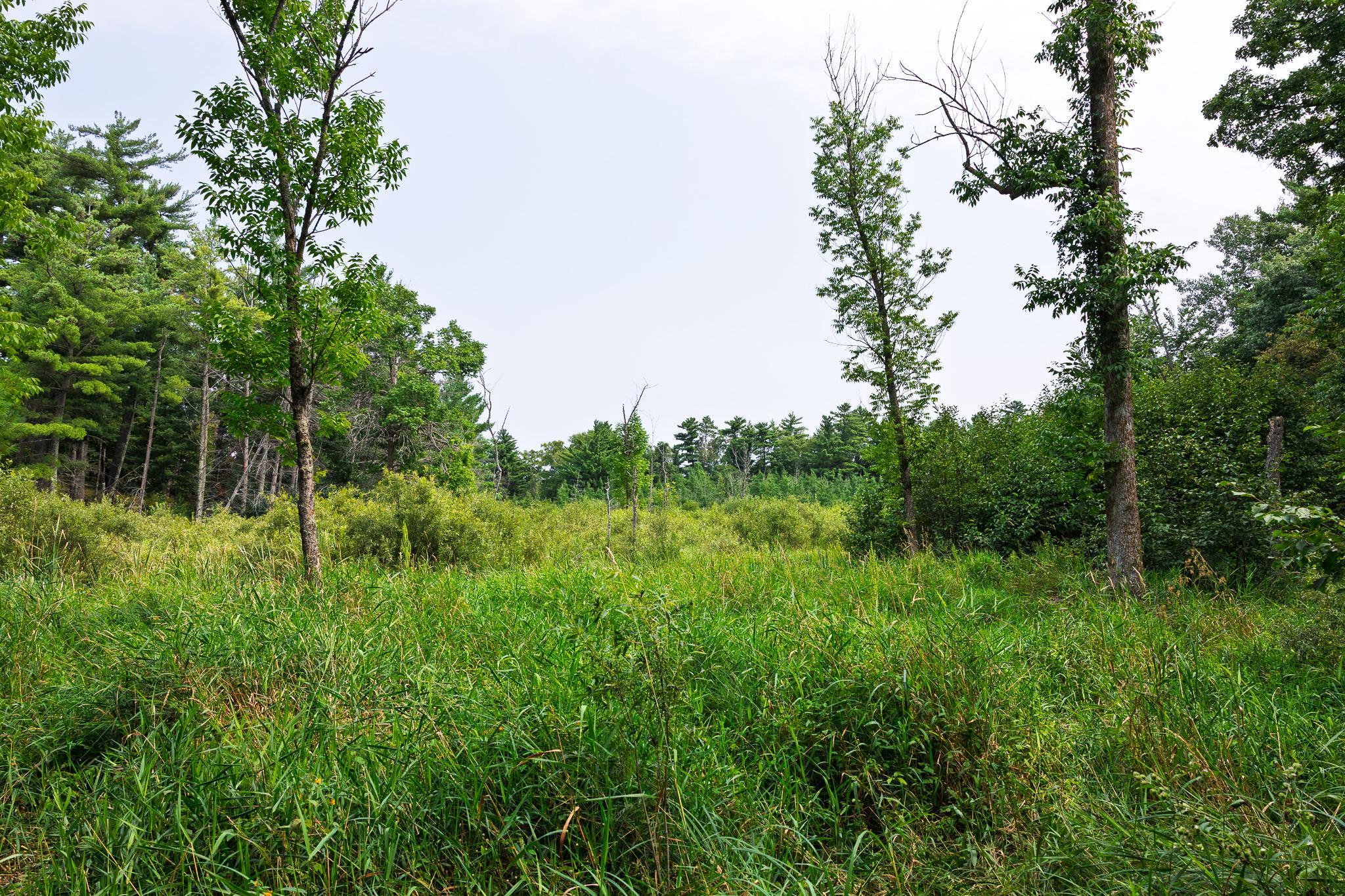 TBD County Road 23, Brainerd MN 56401 - Photo 58 of 74