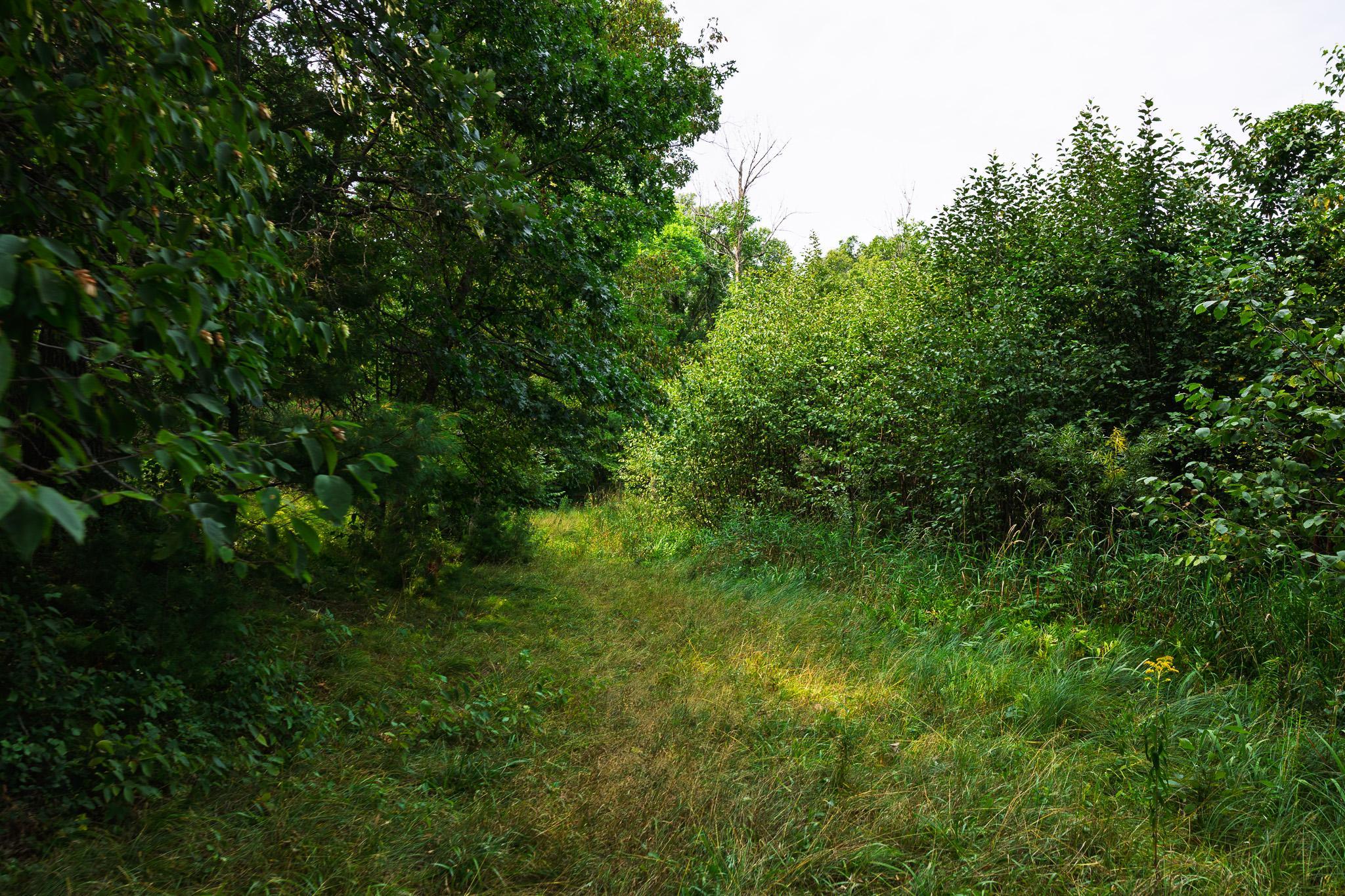 TBD County Road 23, Brainerd MN 56401 - Photo 59 of 74