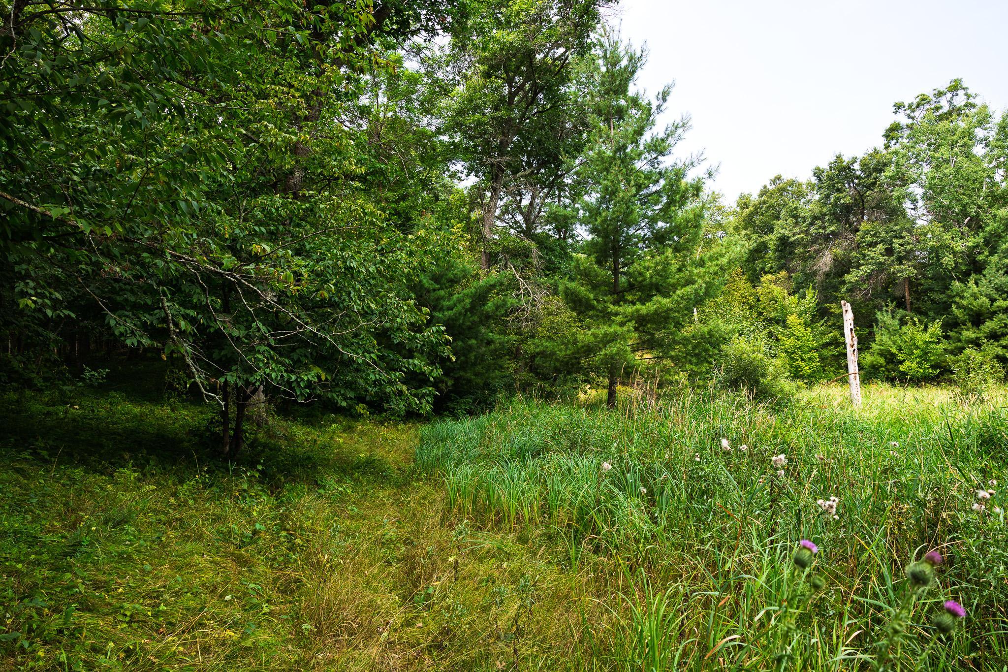 TBD County Road 23, Brainerd MN 56401 - Photo 60 of 74