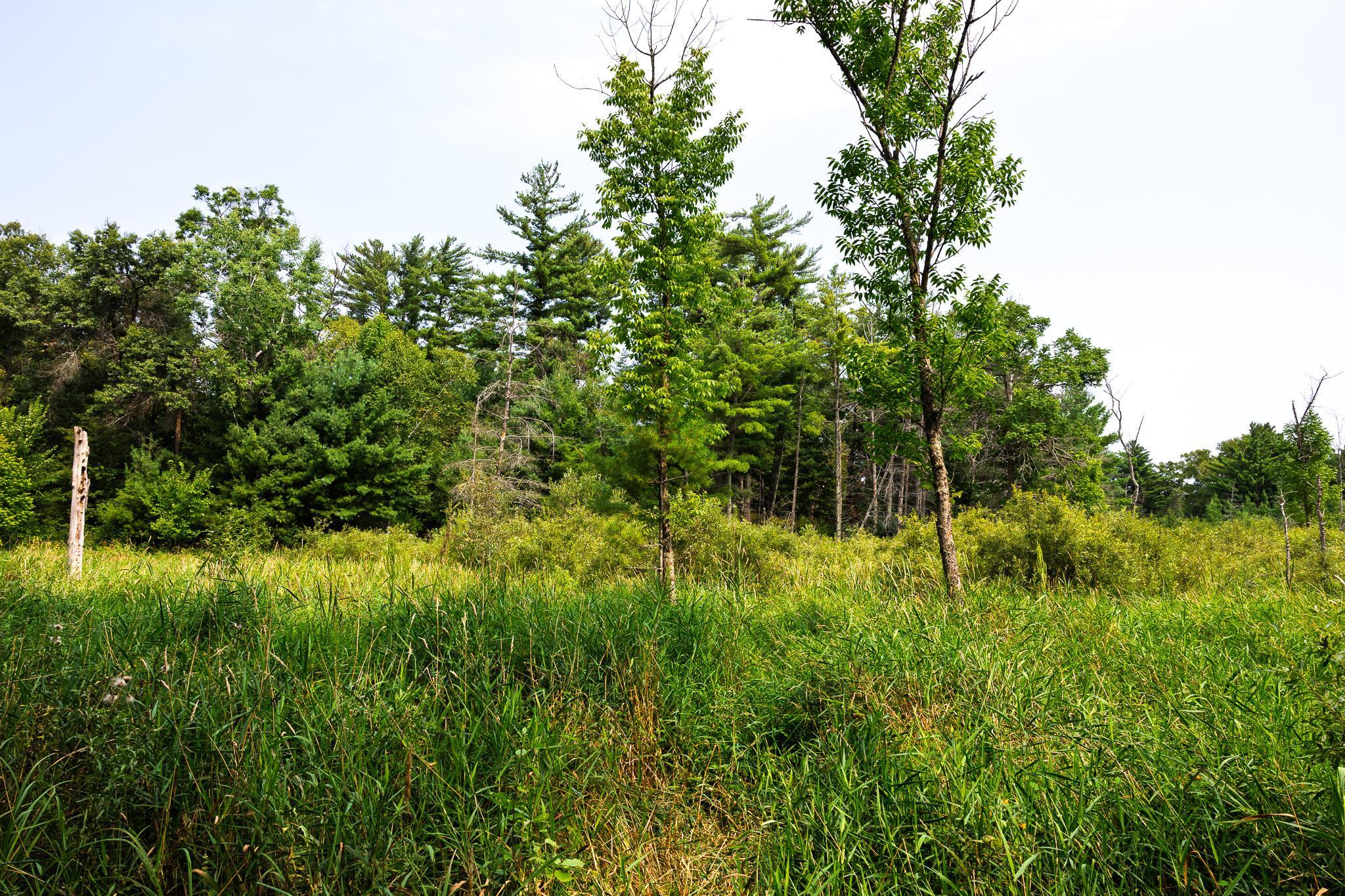 TBD County Road 23, Brainerd MN 56401 - Photo 61 of 74