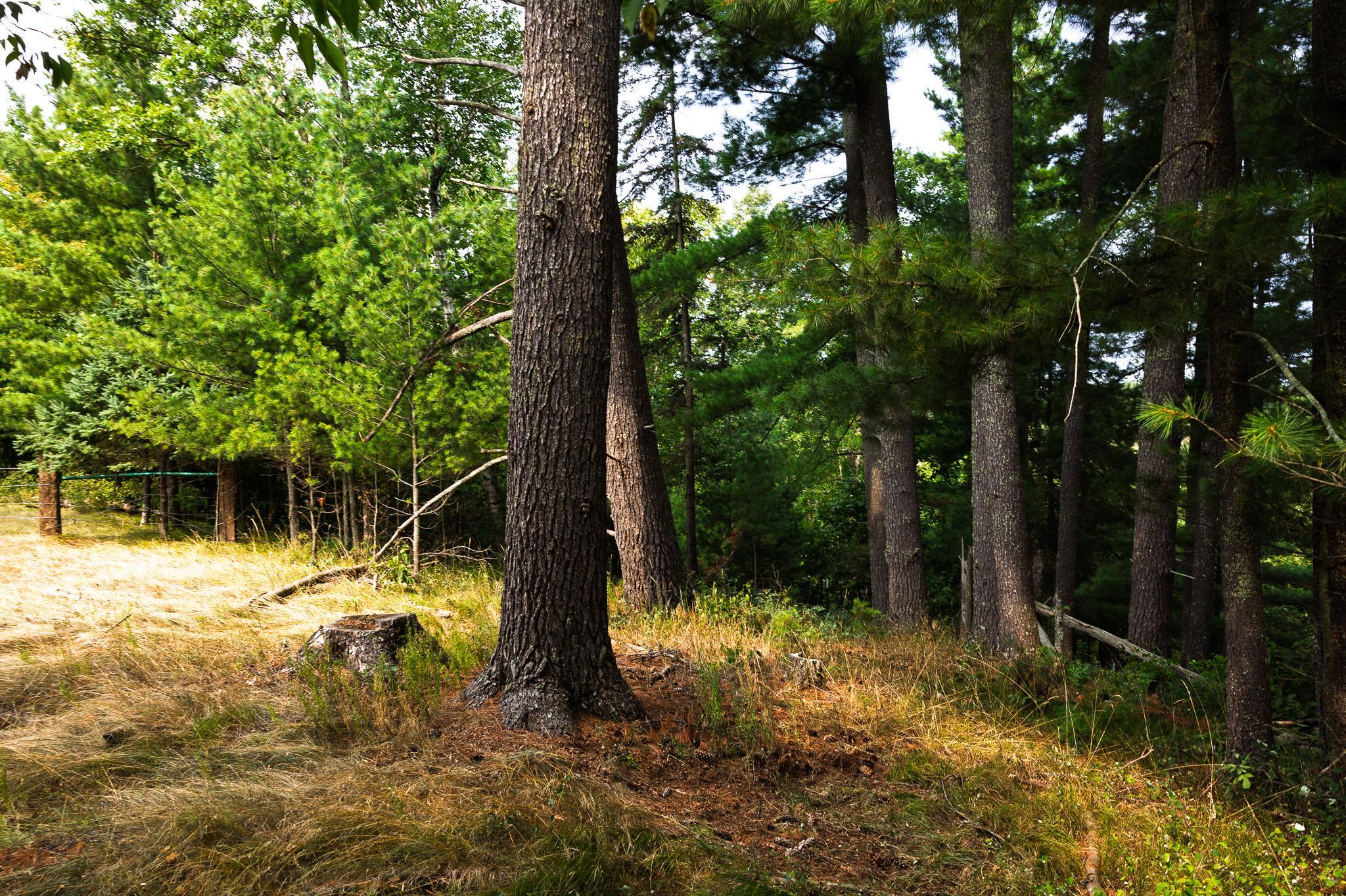 TBD County Road 23, Brainerd MN 56401 - Photo 63 of 74