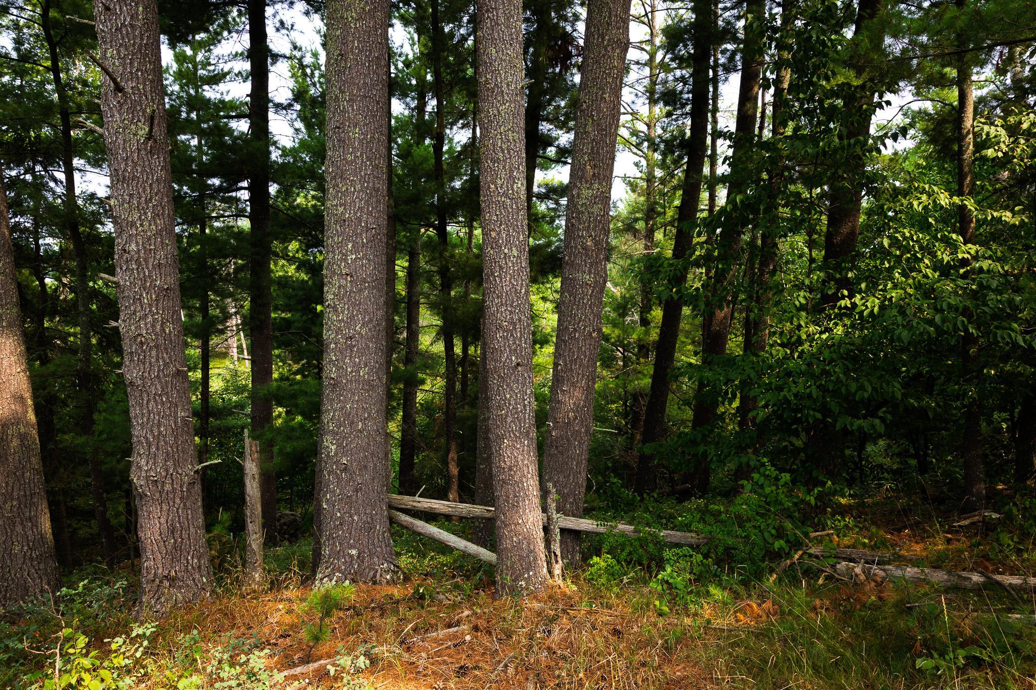 TBD County Road 23, Brainerd MN 56401 - Photo 64 of 74